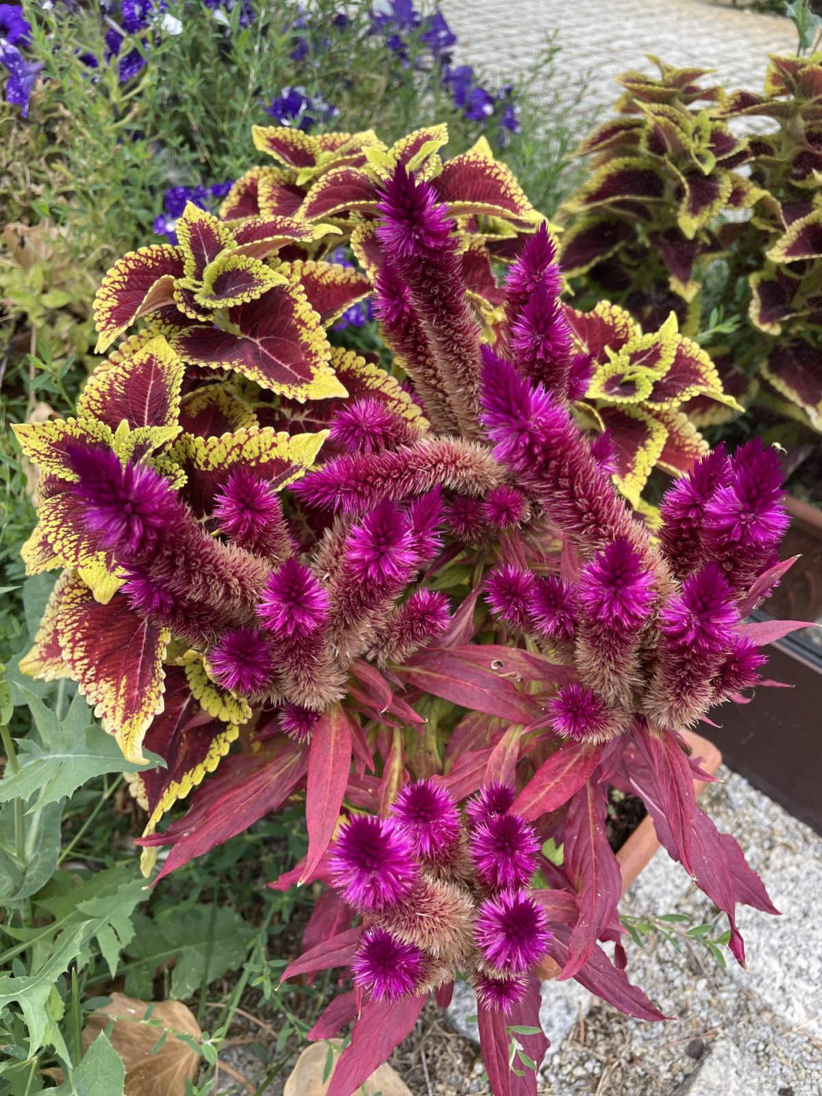 ED8C97D2-FB34-4D18-A2CA-A5F41FE144AD