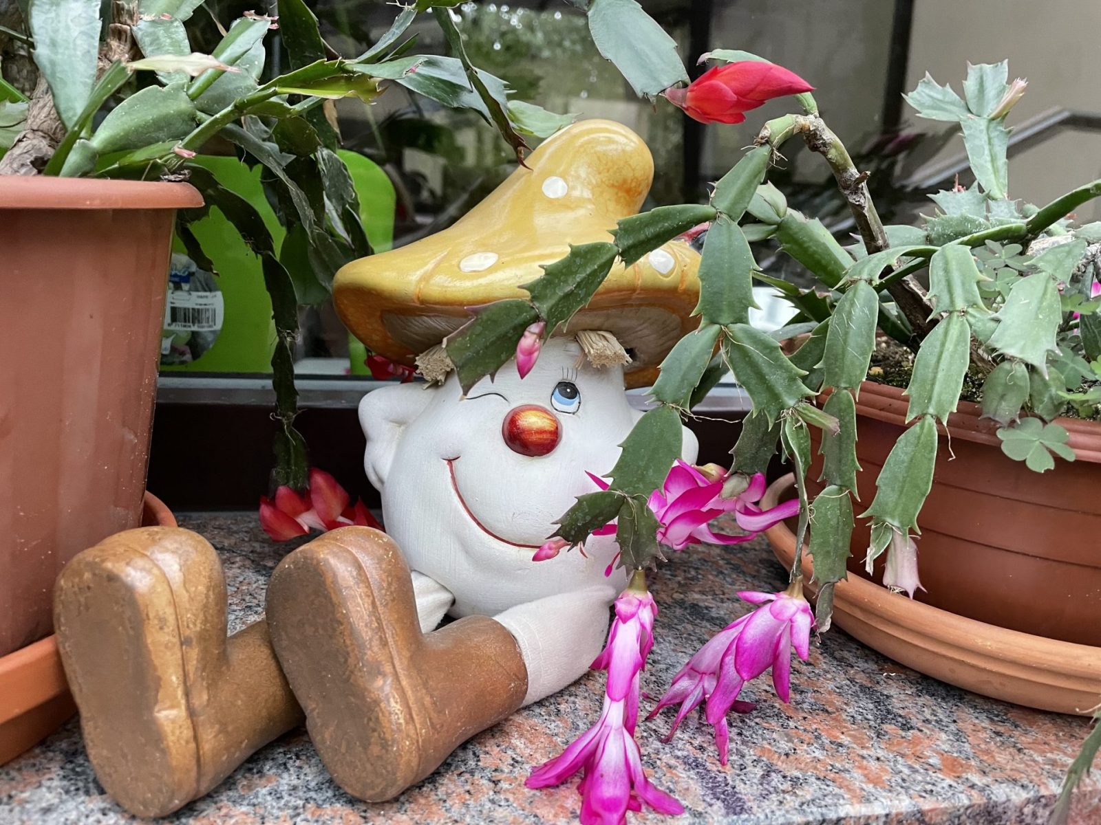 EDBED68A-923B-47D8-8D49-74B7D1A08DB3