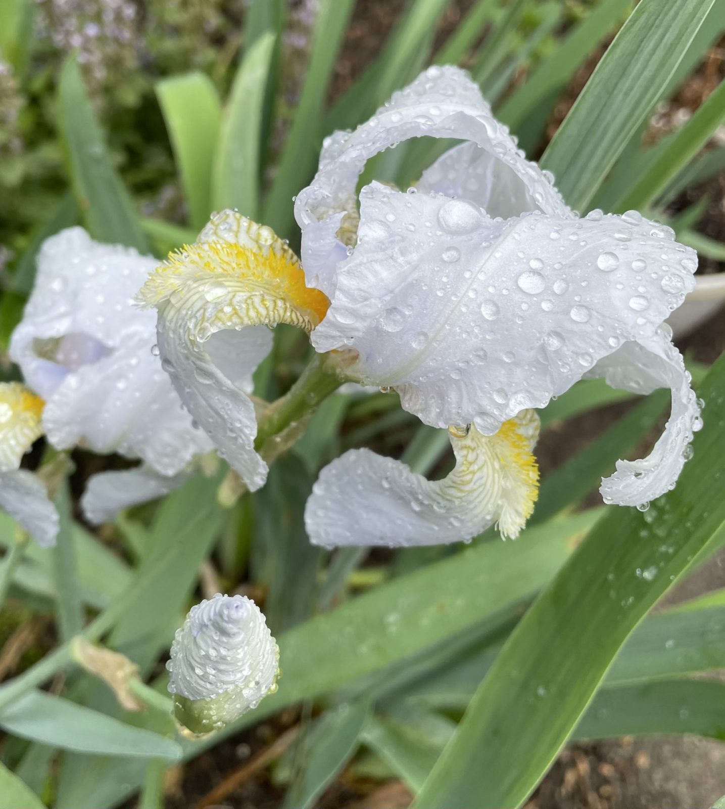 EDF1B9E4-0107-4C8A-AA5C-7D1CEDB3F74B