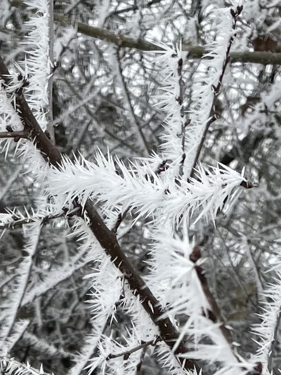 EDF7D2DF-E77A-42AD-B47A-B2F84EFE41B1