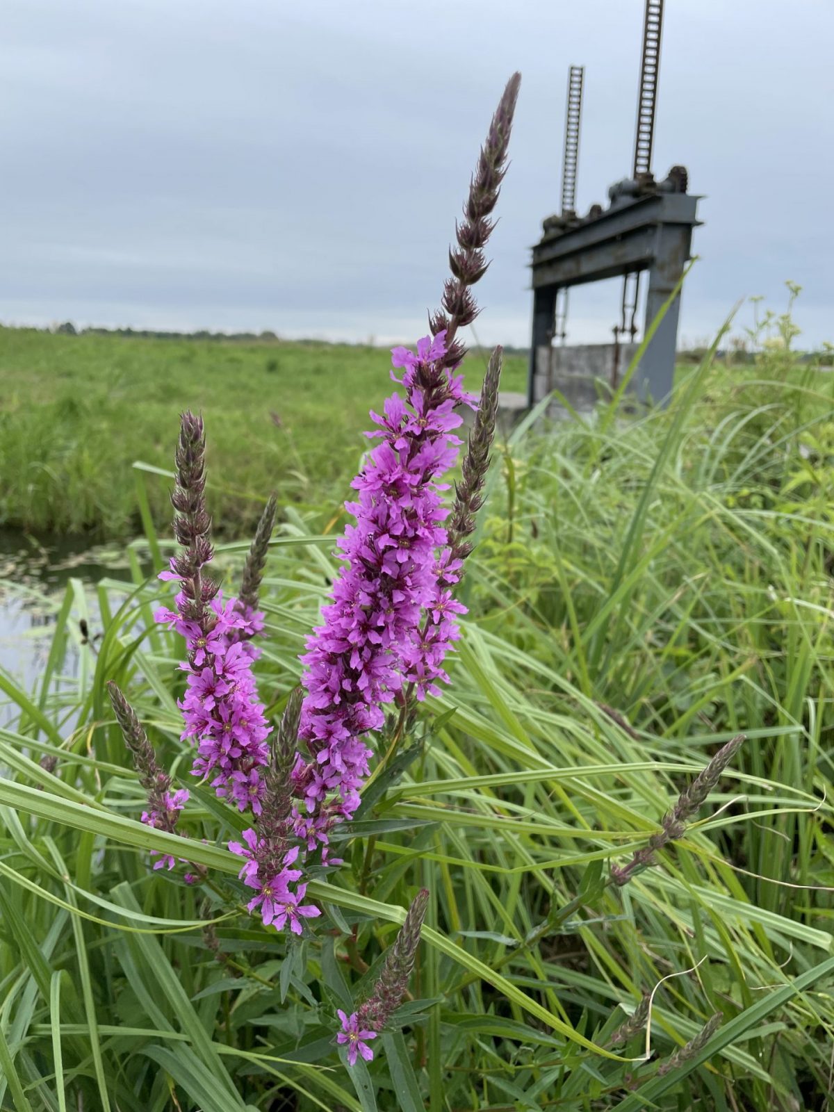 EE296BE7-7D9E-4155-BEA0-18005EC15504