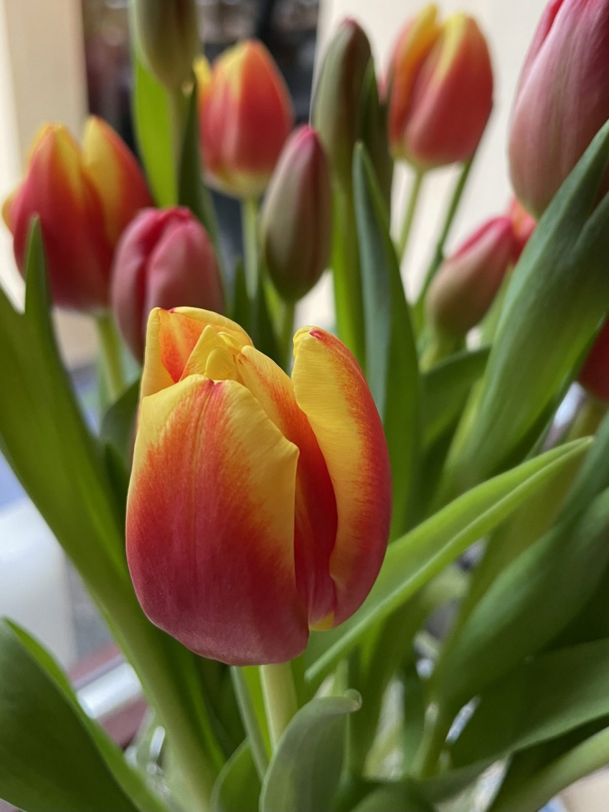 EE888BCF-94B4-487A-8A34-C88CAF4DA3C3