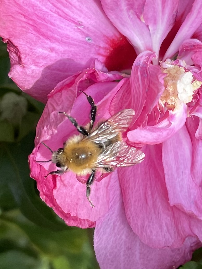 EED137F3-D479-4AF8-B68C-BEF9F849DCBF