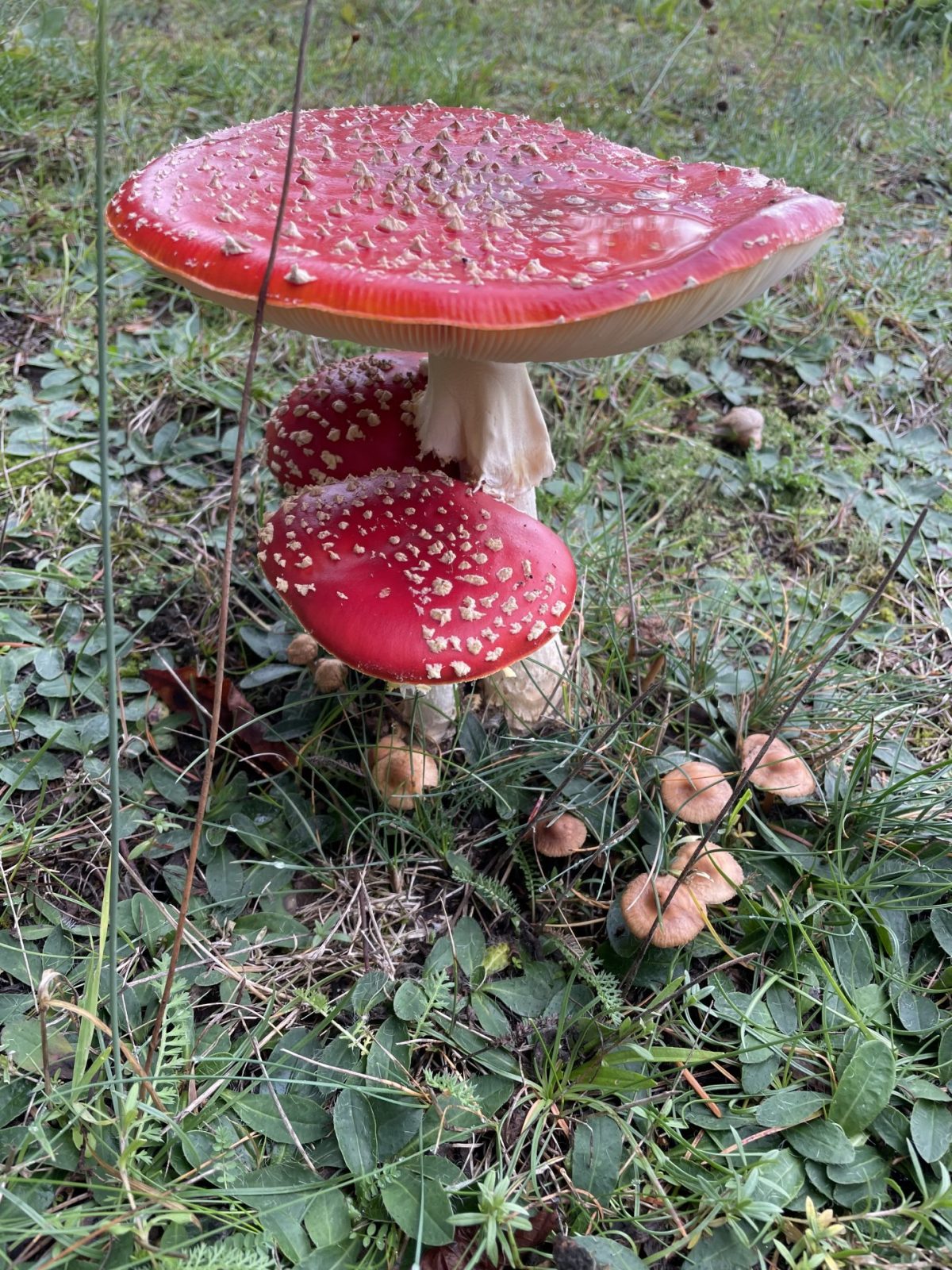 EEE29E2B-26DA-49C5-A089-F9F72AB65D28