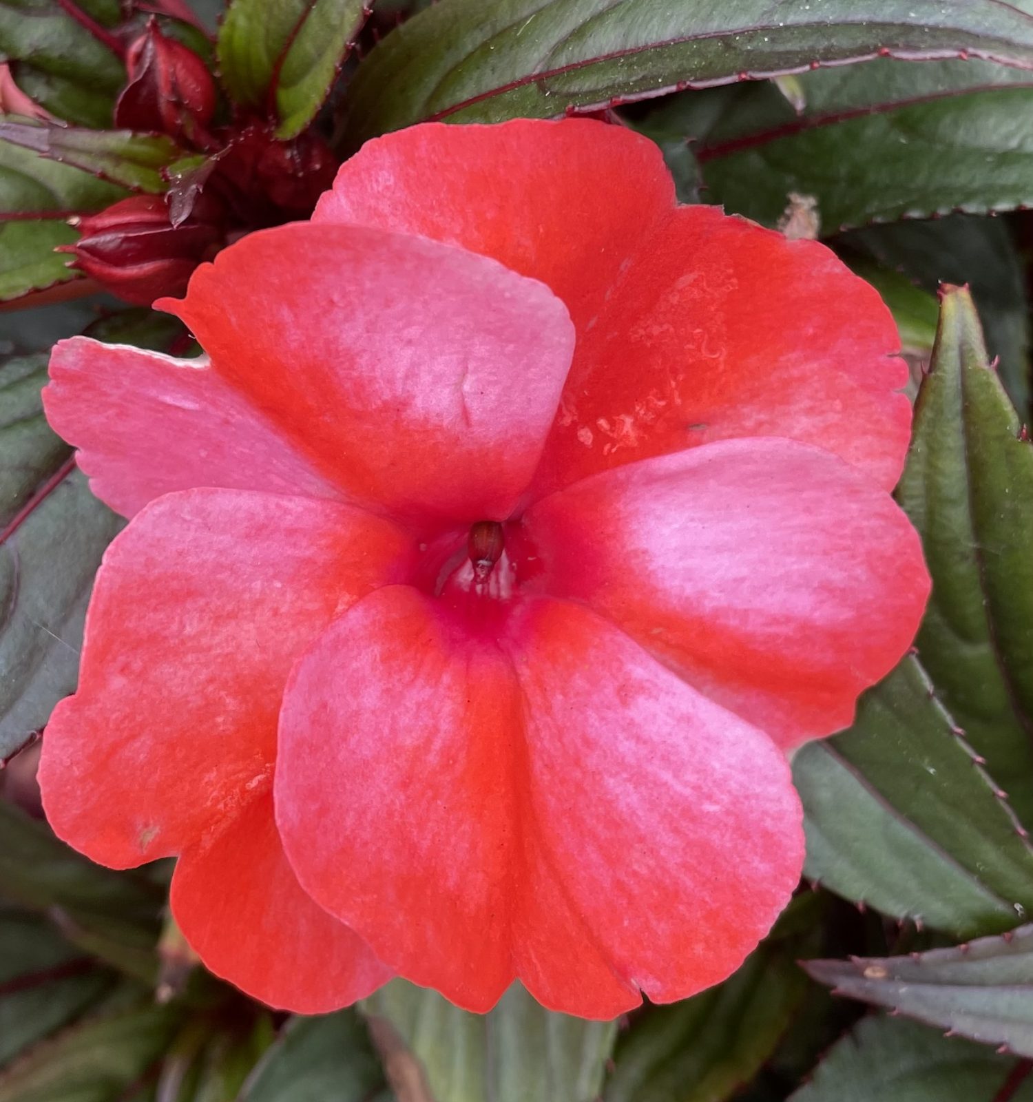 EF0607F2-423F-4F16-9601-6386B135773B