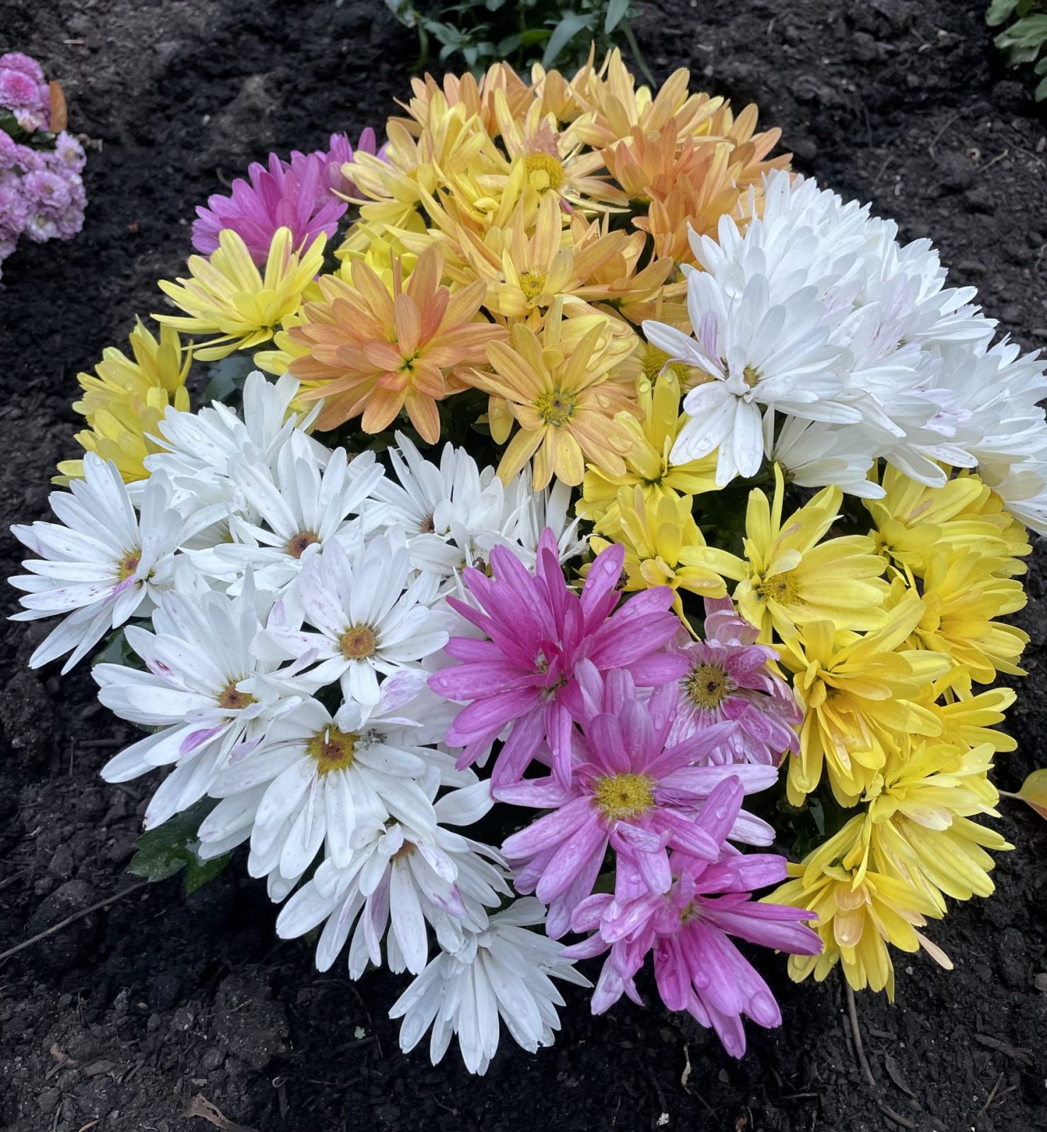 EF082463-6EEE-4D58-863F-7D9485601692