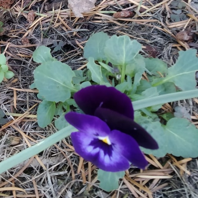 EF176AE0-3329-4395-B4F0-7E1C4367B879