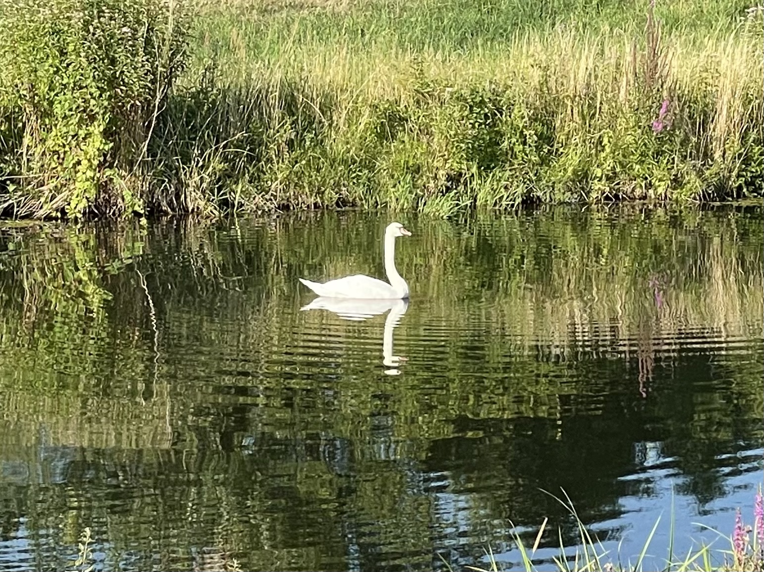 EF6A1560-5D35-4A6F-AAEE-4BDA7741983D