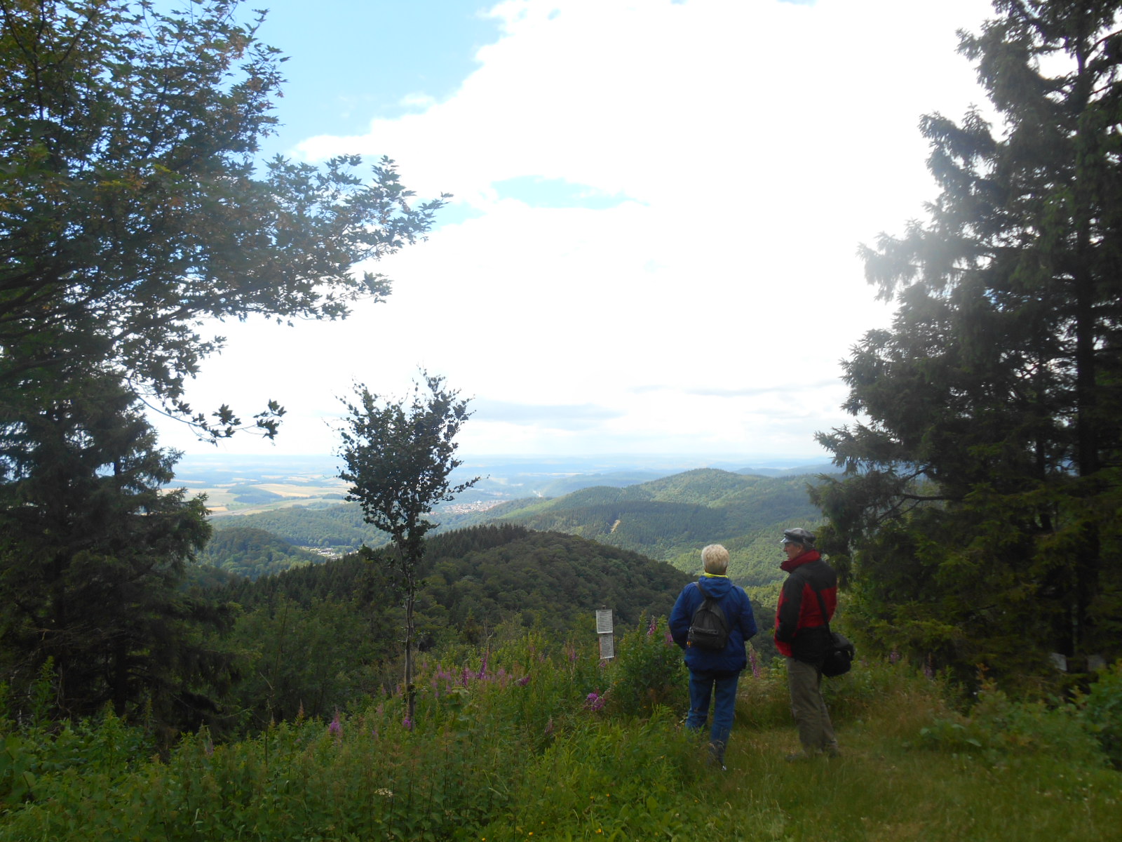 Ein tag im Harz 2016 Juli 009