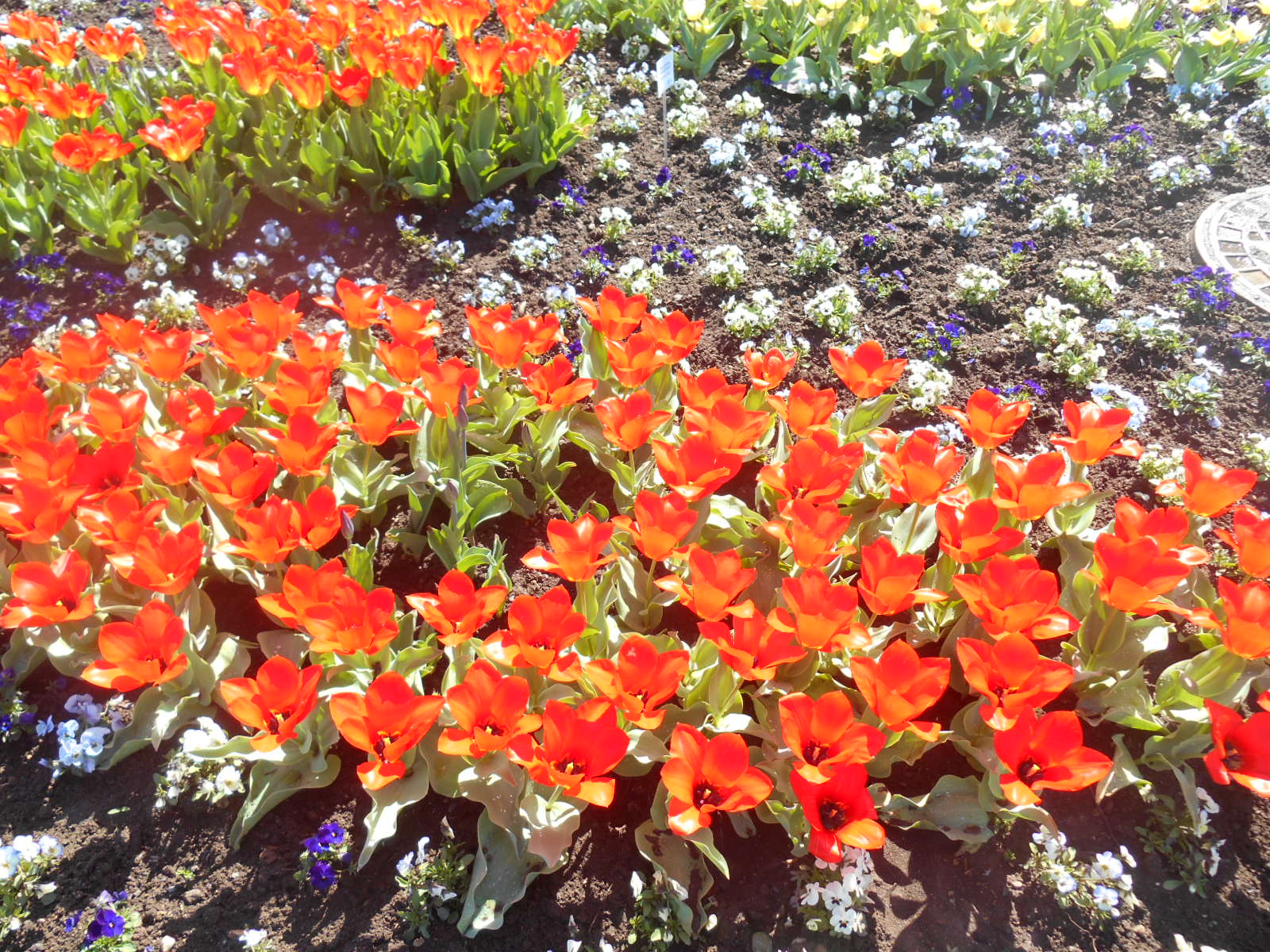 Ein tag mit geli auf der EGA 2018 038