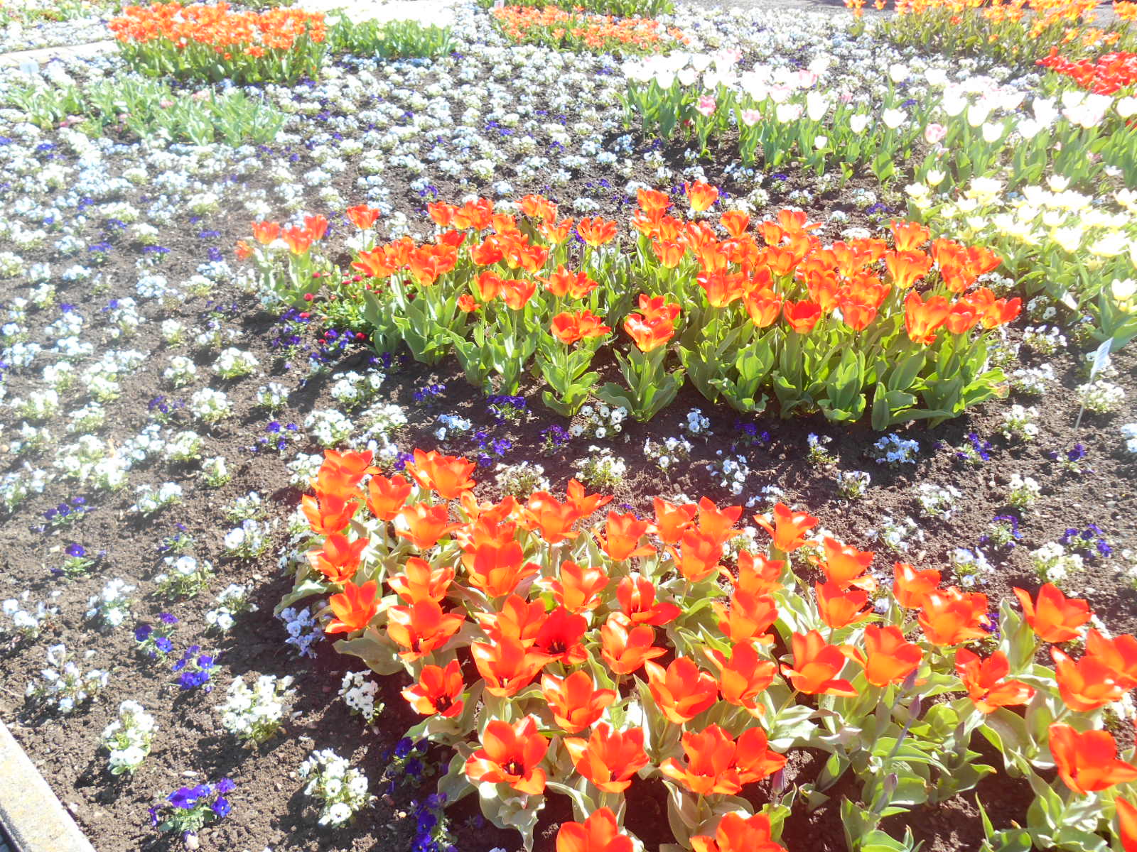 Ein tag mit geli auf der EGA 2018 039