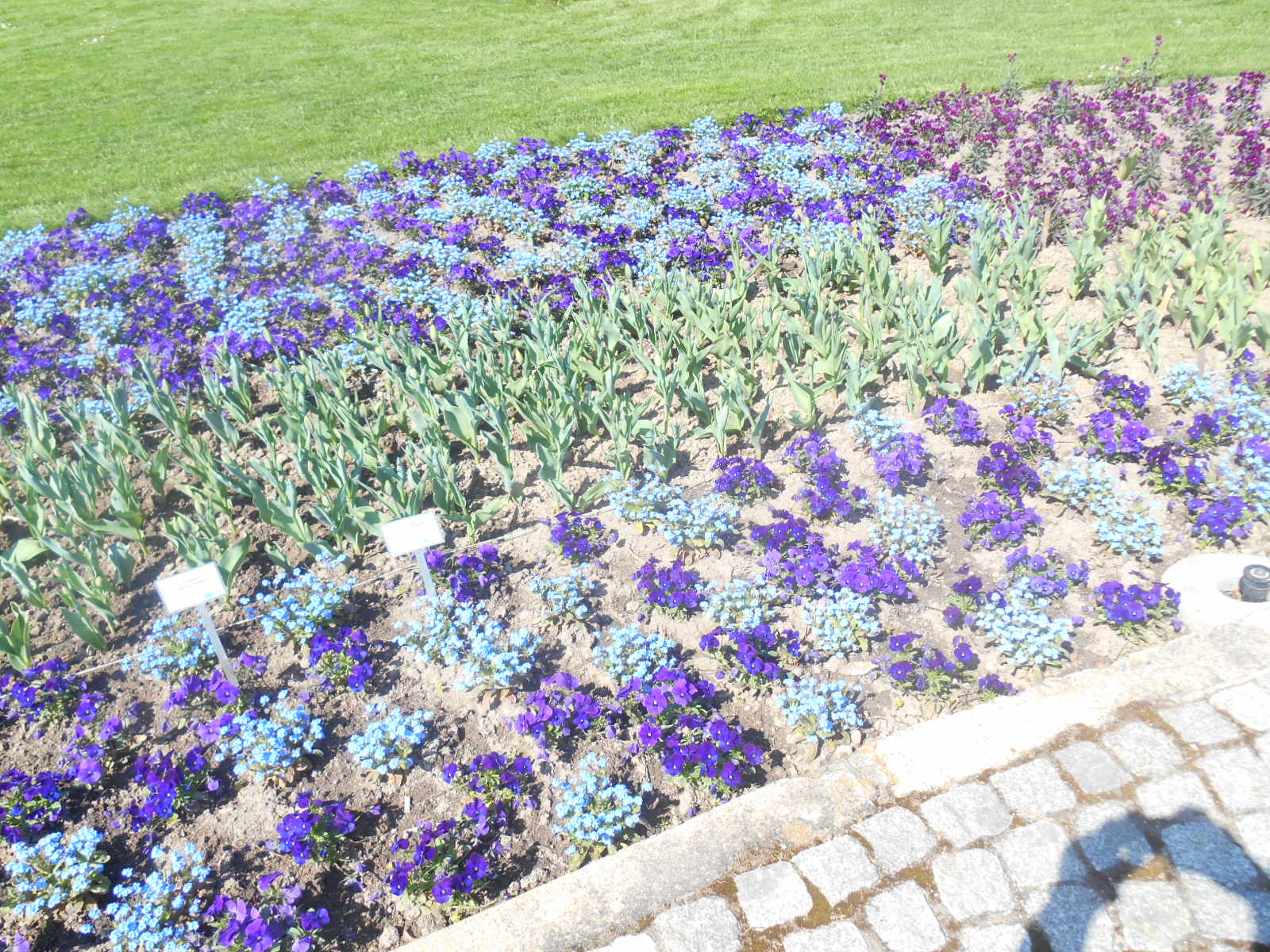 Ein tag mit geli auf der EGA 2018 045