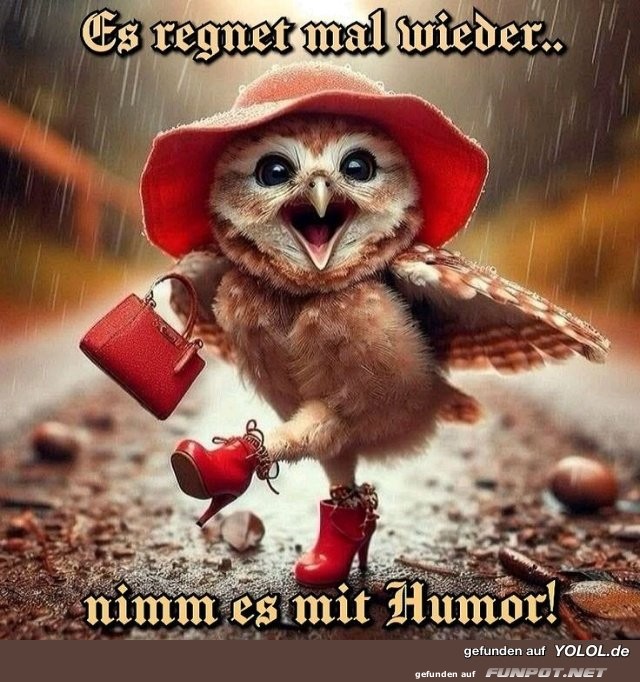 Es_regnet_mal_wieder