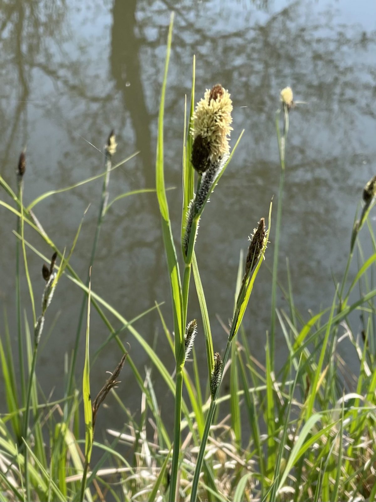 F03EA8E5-BDFF-49FE-A411-6F35EE50A123