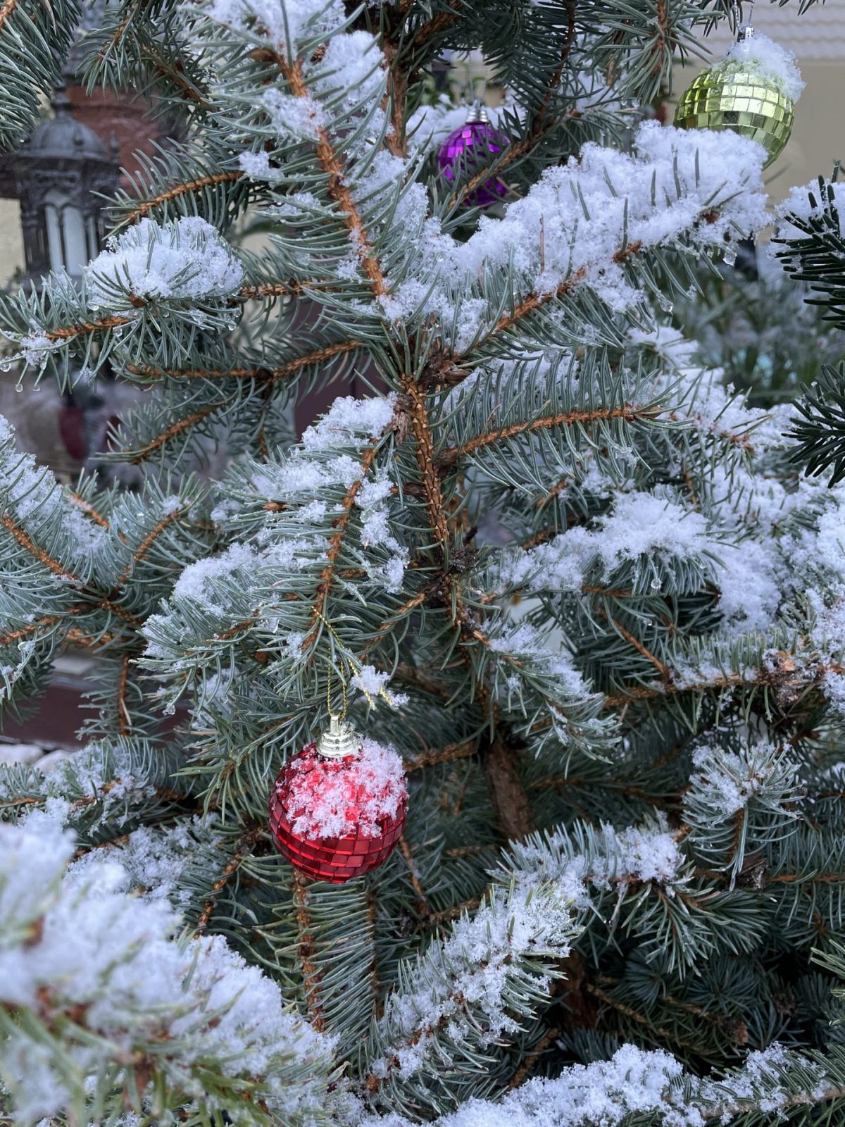 F05151A7-30AB-4C46-9A26-B60A9B4B99B2