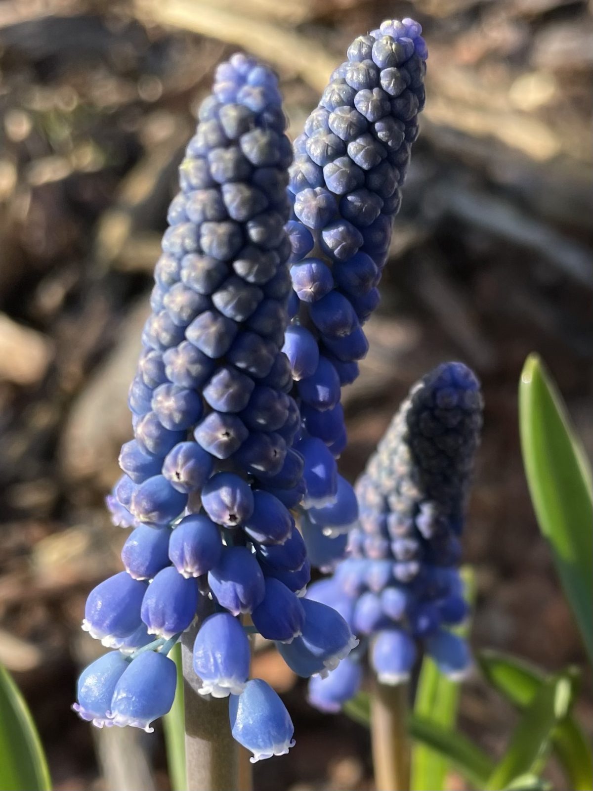 F0765AC8-8DC2-4297-BB30-1DFE38757FDD