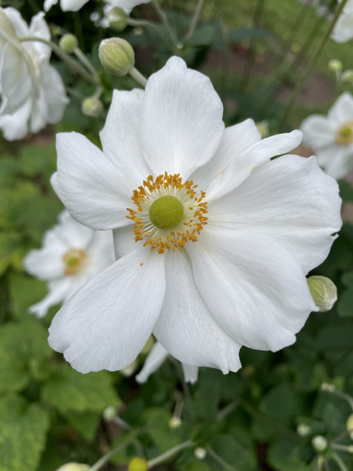 F0C00A1A-7548-4435-861D-4206BF9C8415