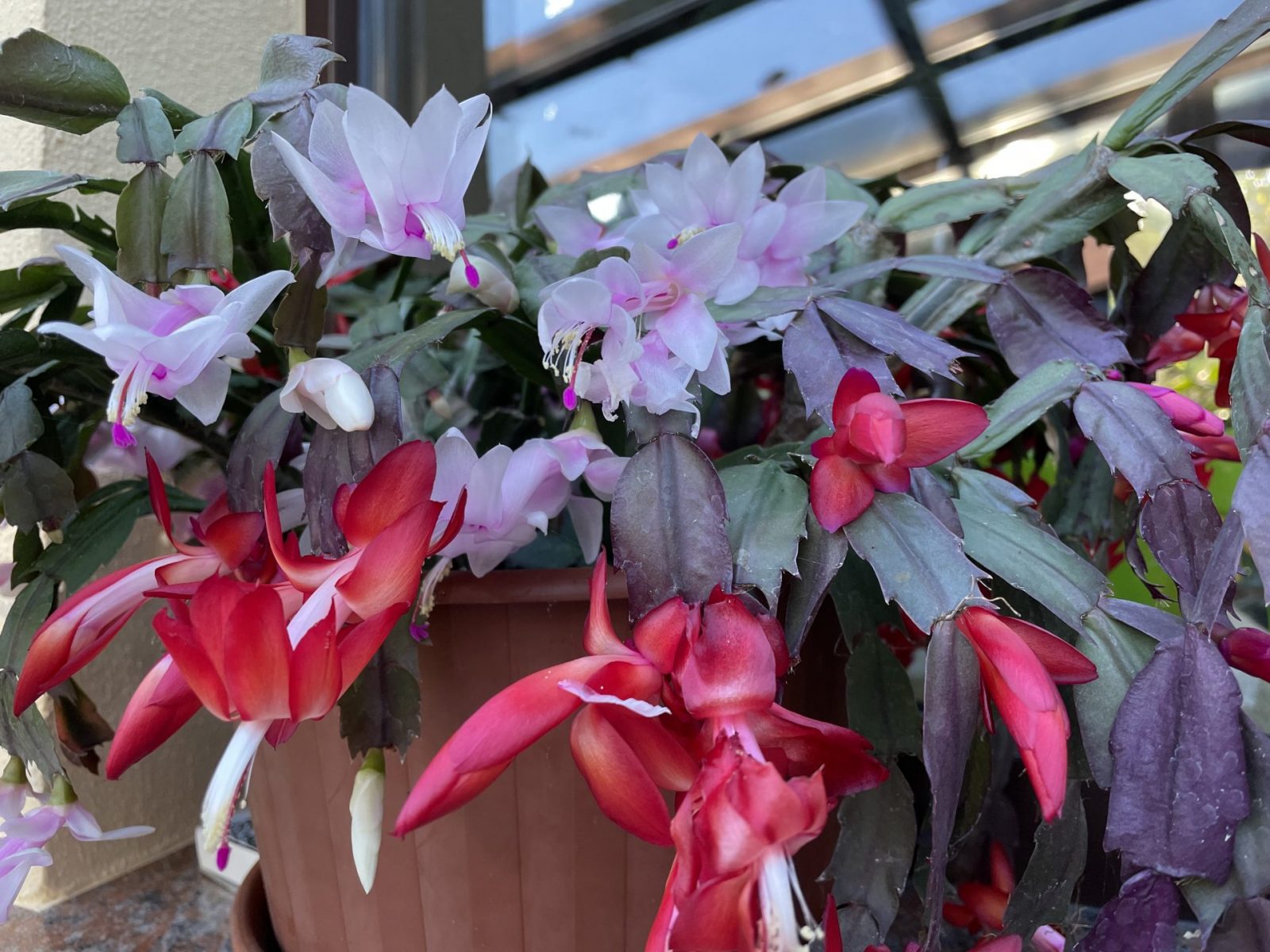 F16201E8-5D5E-48A3-B392-19AD0DB41767