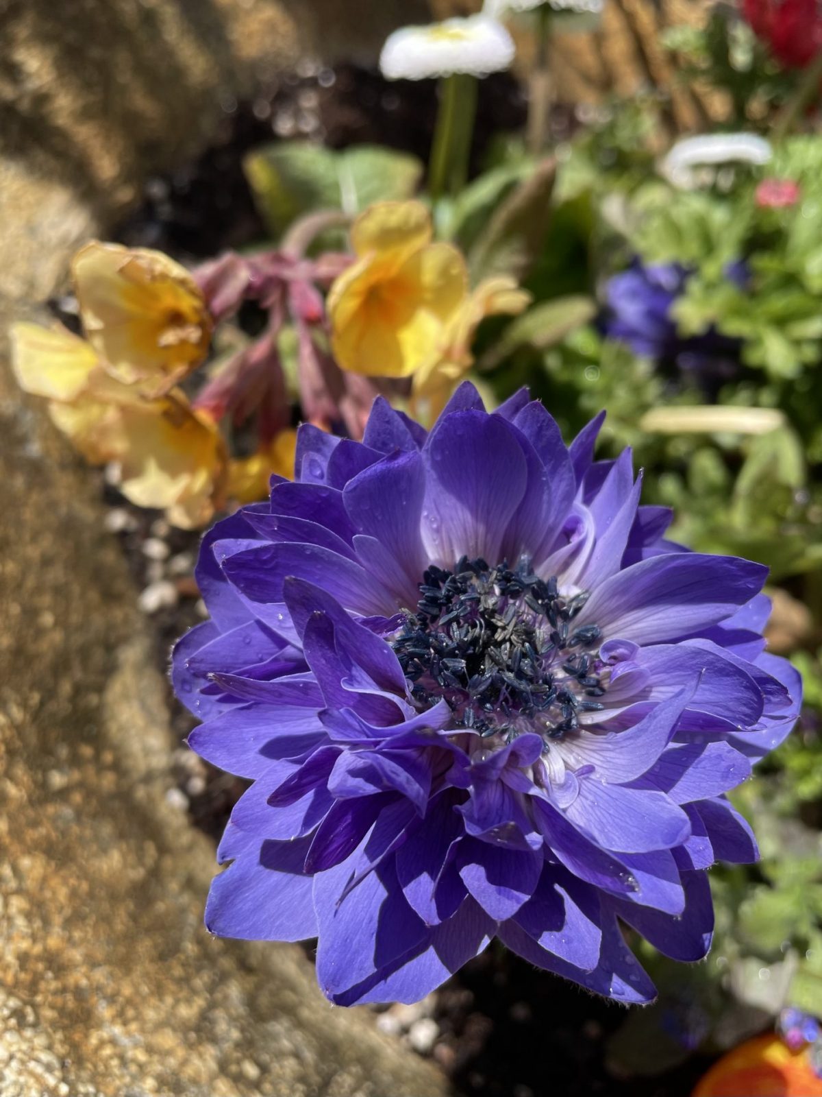 F1764EB0-83F7-43EF-8AEA-F32209C10A9D