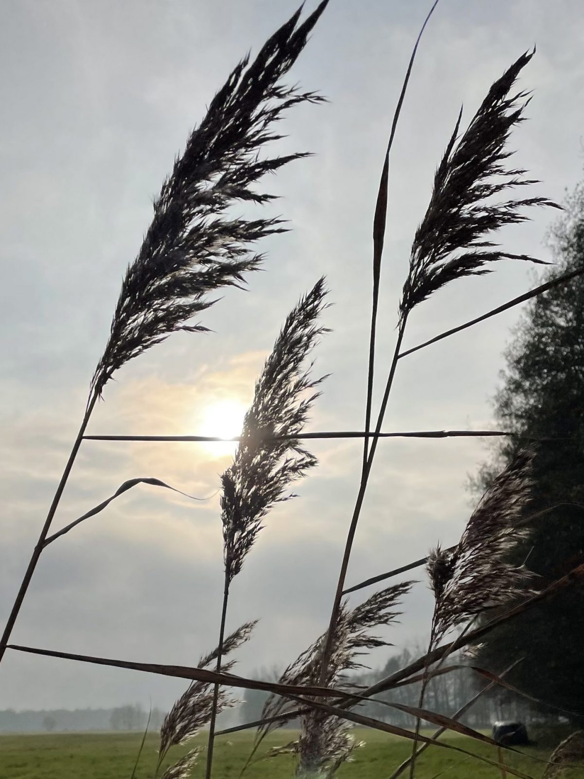 F1821034-3EAD-4179-8BD0-75212B706FEA