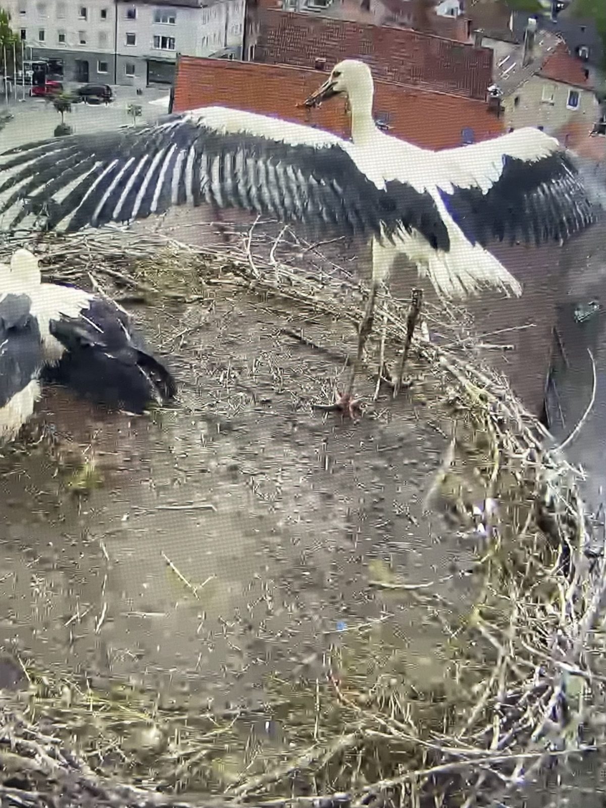 F19D019C-ABA3-4E6F-BDA1-70665DBF6F58