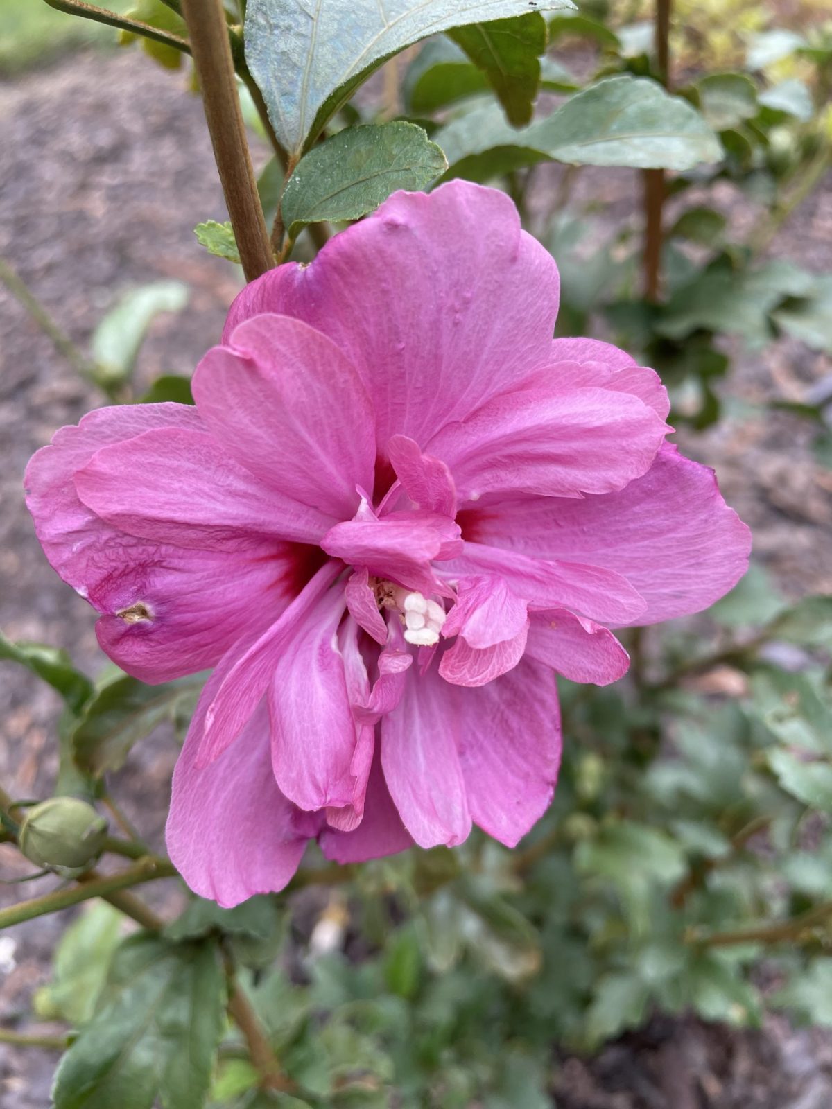 F23FA362-4B1C-4948-B2EF-03CDCE327523