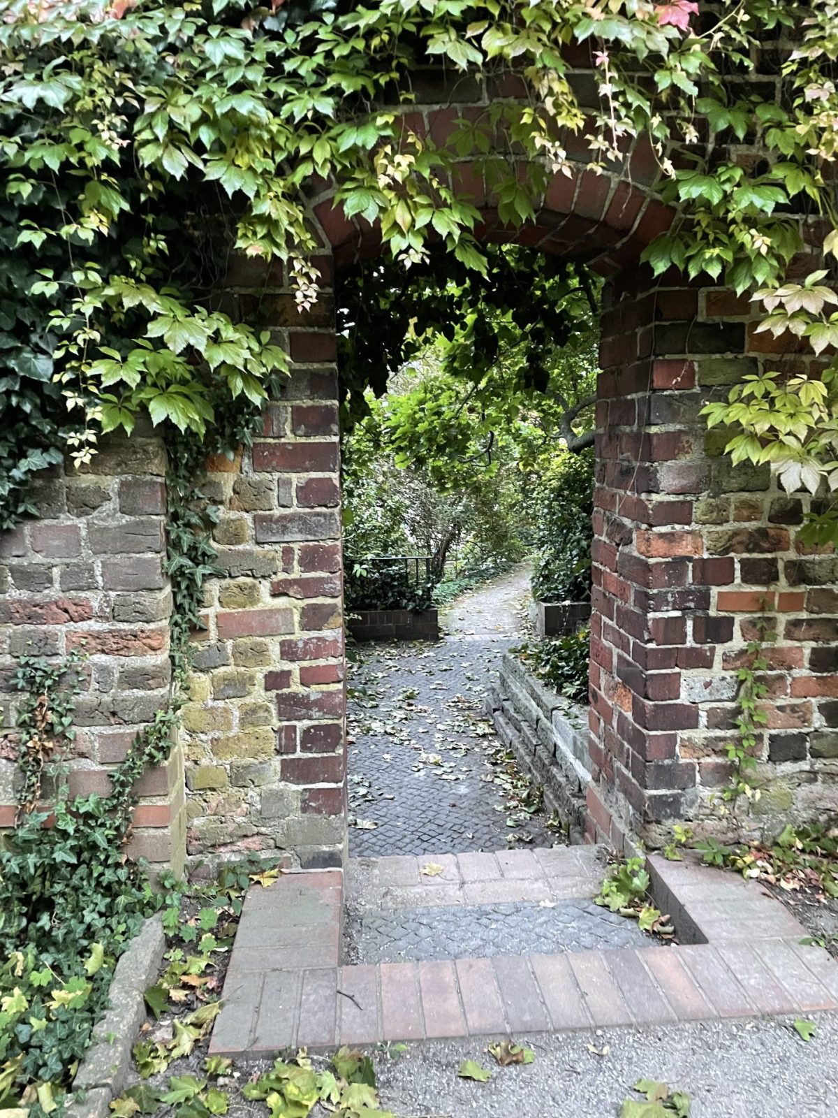 F291DF5B-C486-42E5-9855-CBC5BBF67E31