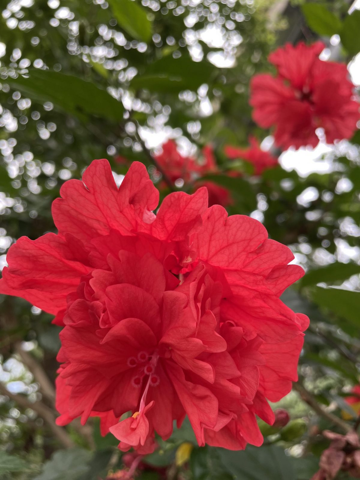 F2A8AF6A-2191-47C0-88E3-3D3A05FDD9BF