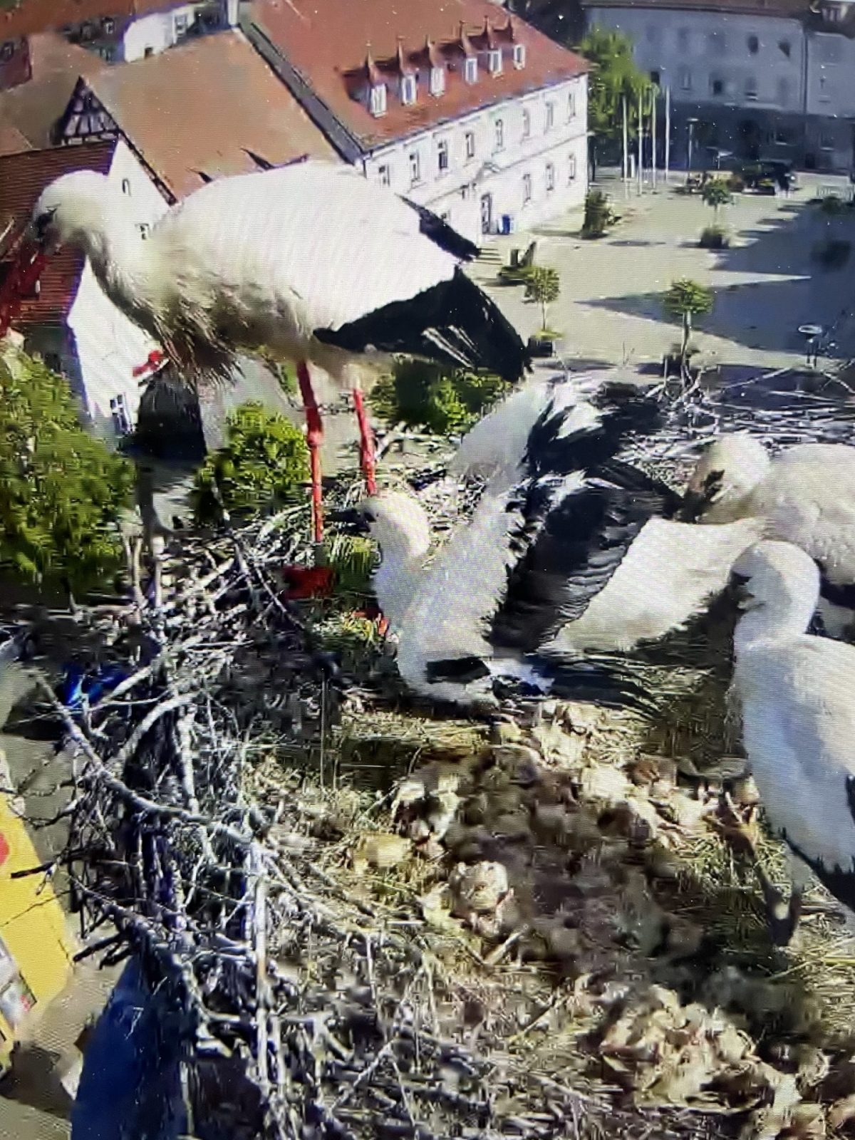 F2EEF445-130C-4A4D-BC09-74C6F9BDBFE3