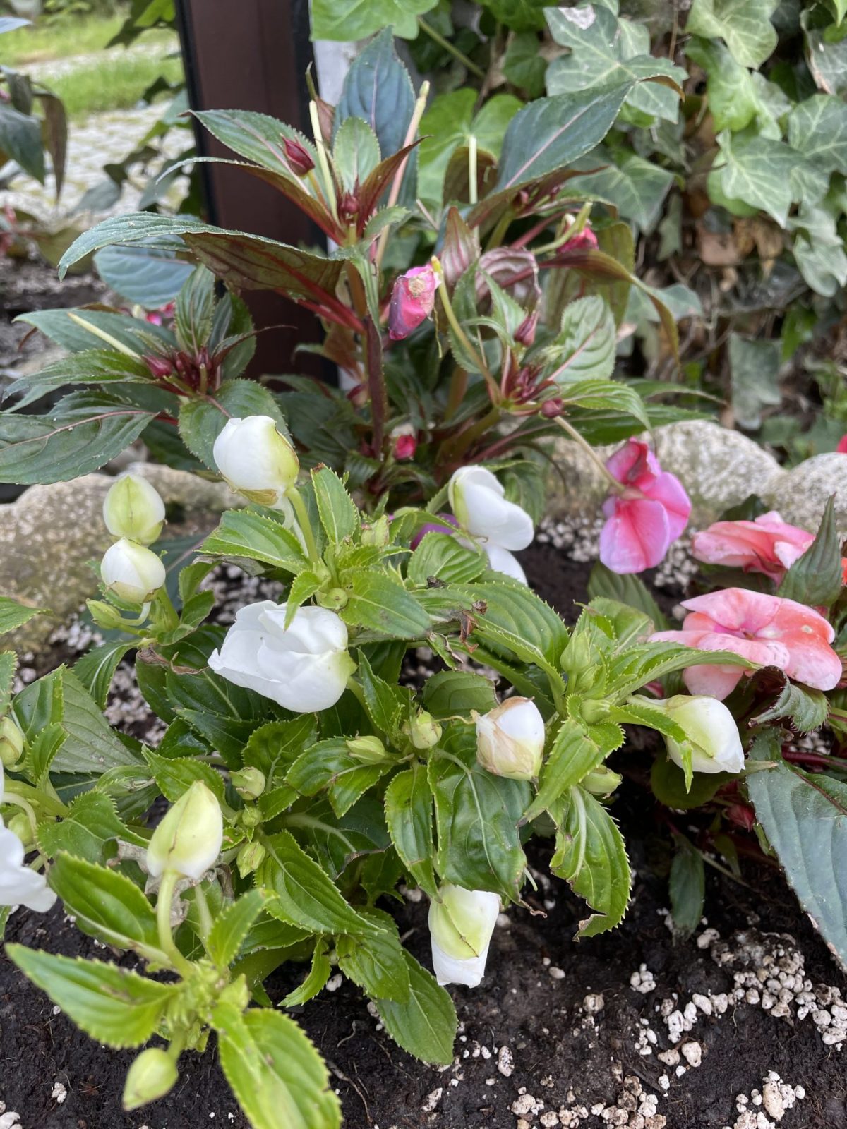 F35992BE-DB87-47BE-BF6B-B8B93EB545B3