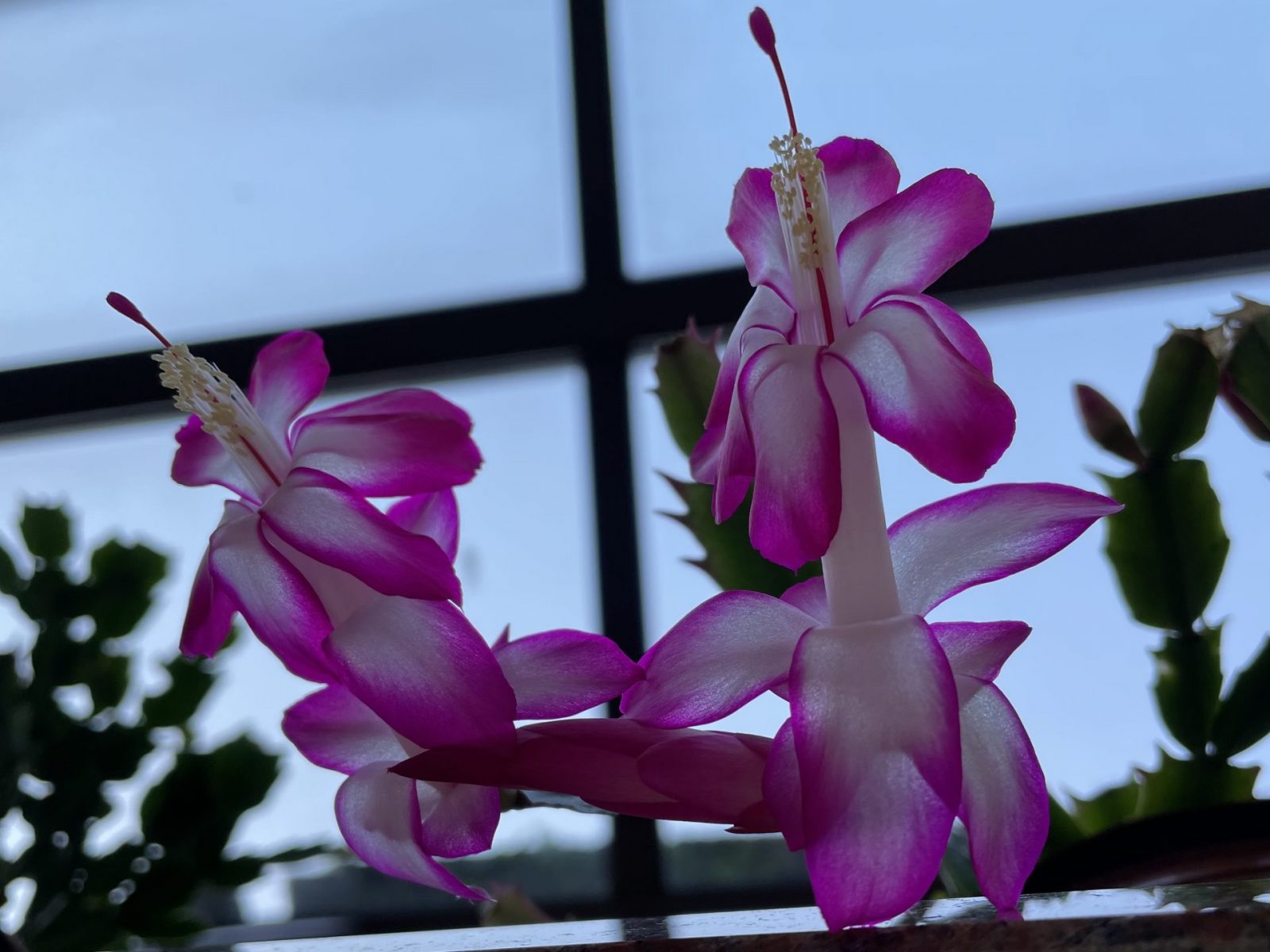 F3698D45-E8FE-4EF1-B663-EFBB25751B11