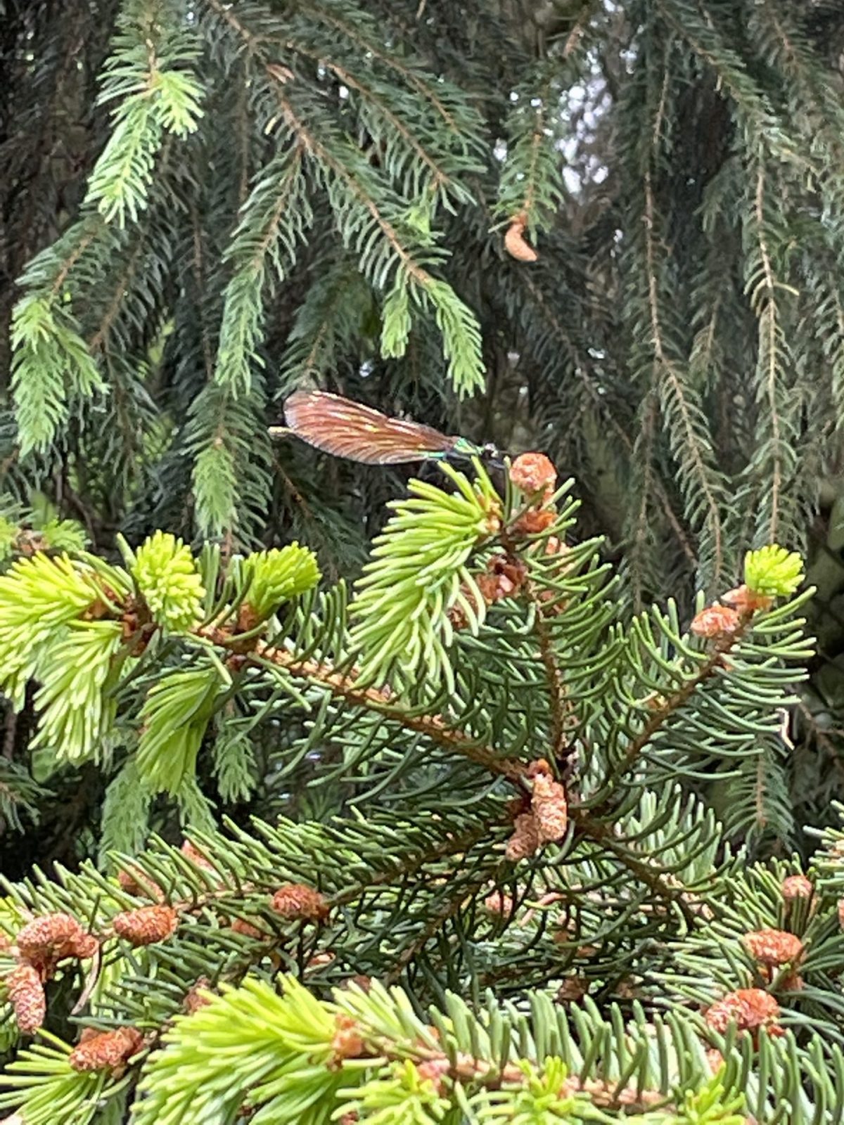 F370D831-9592-4E23-A158-086B6E7959AE