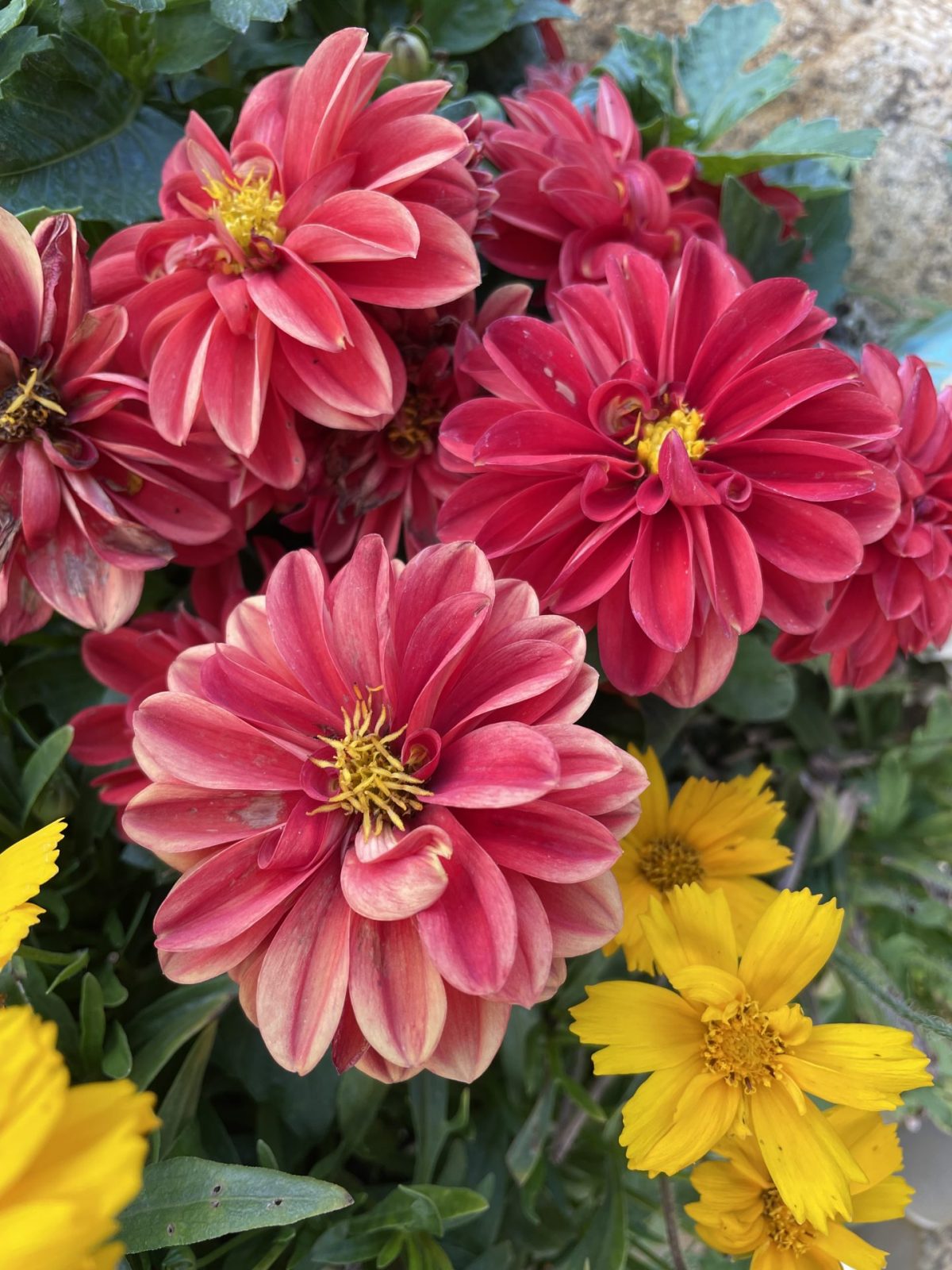 F37333FB-A6E5-4672-99BF-B45DC437E445