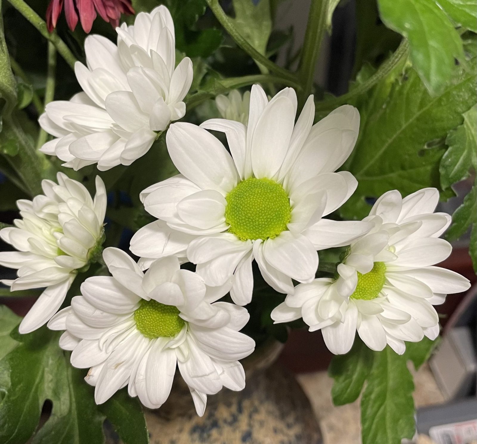 F466D143-EA55-4F0C-99A7-0BF958695980