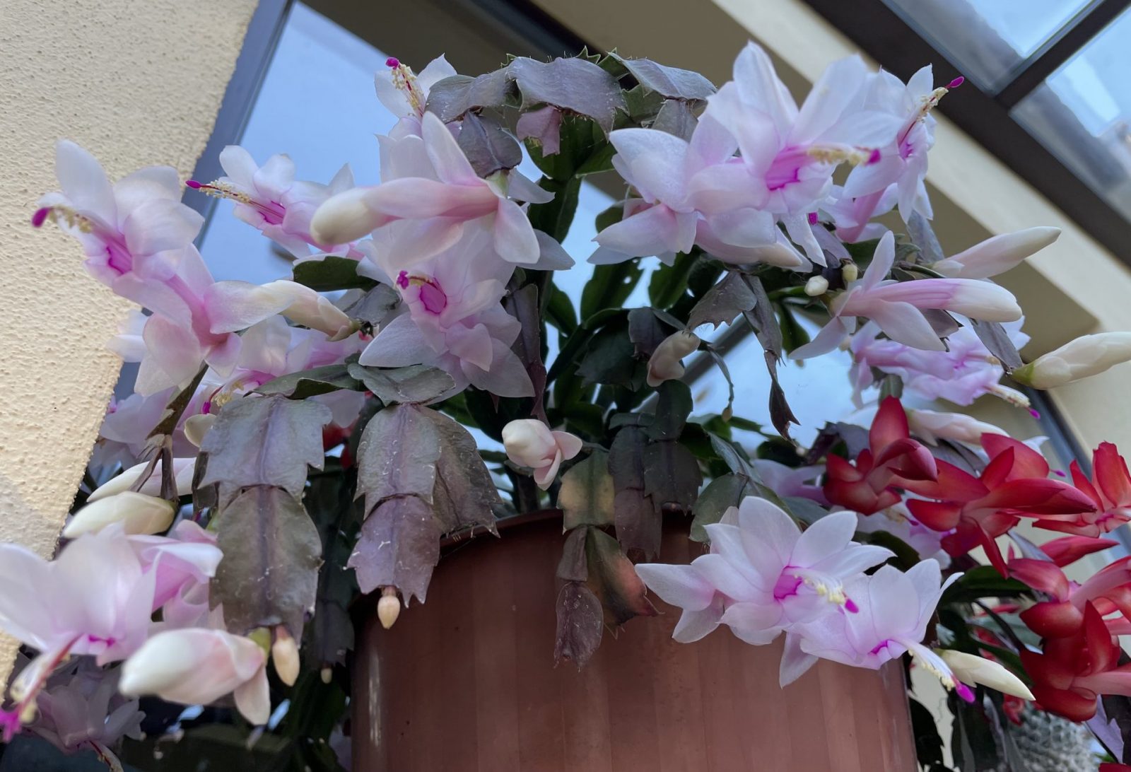 F468F2DC-7E5E-4BFB-A472-0838C3186779