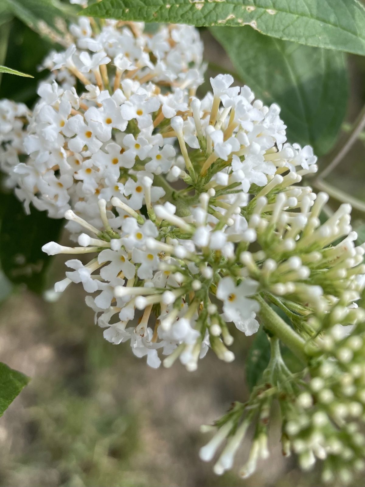 F46D6174-471F-4837-A33E-8A9FD7C84341