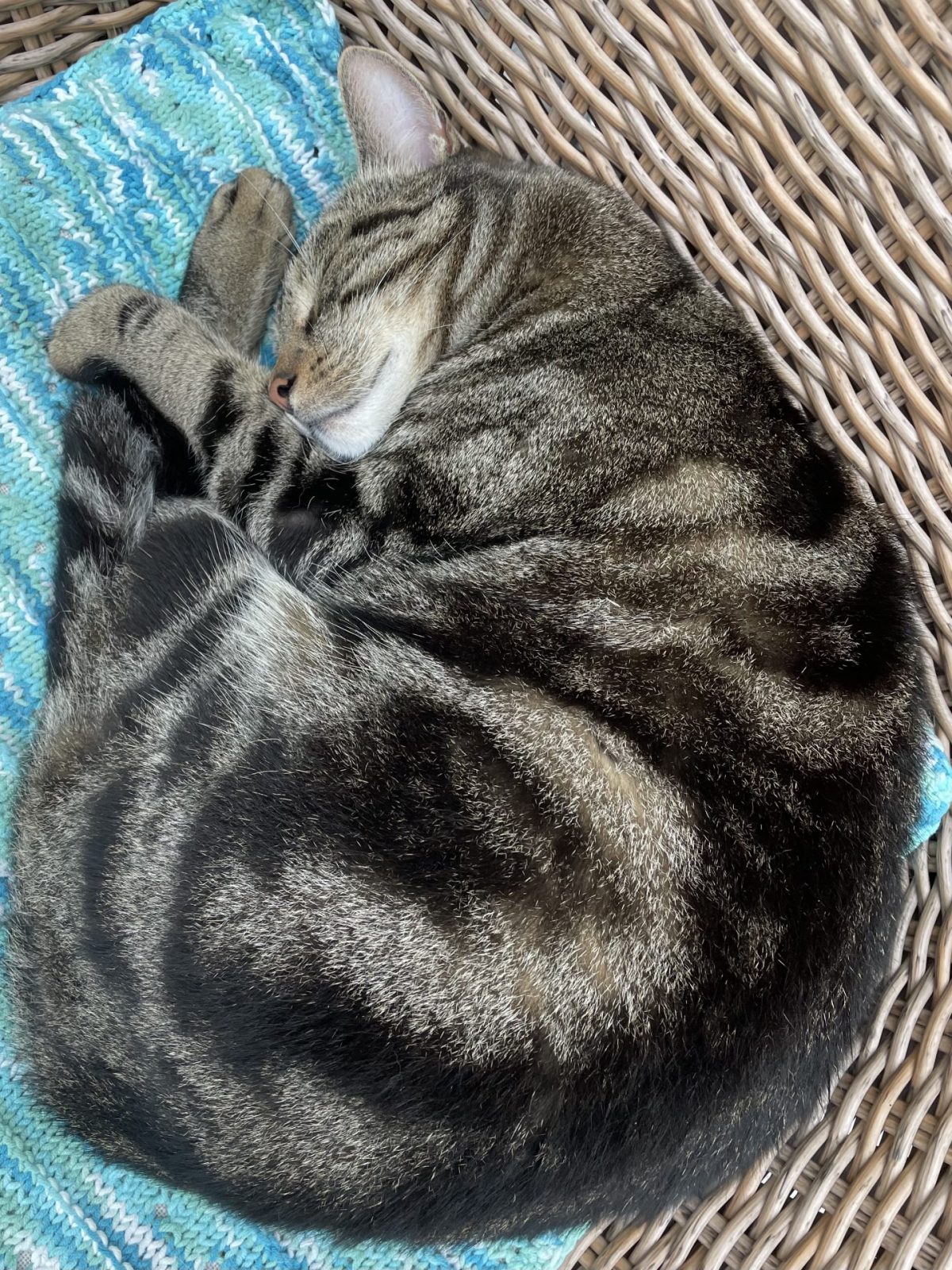 F4DE3110-0667-4CCE-A32A-43DB7AEA10CC