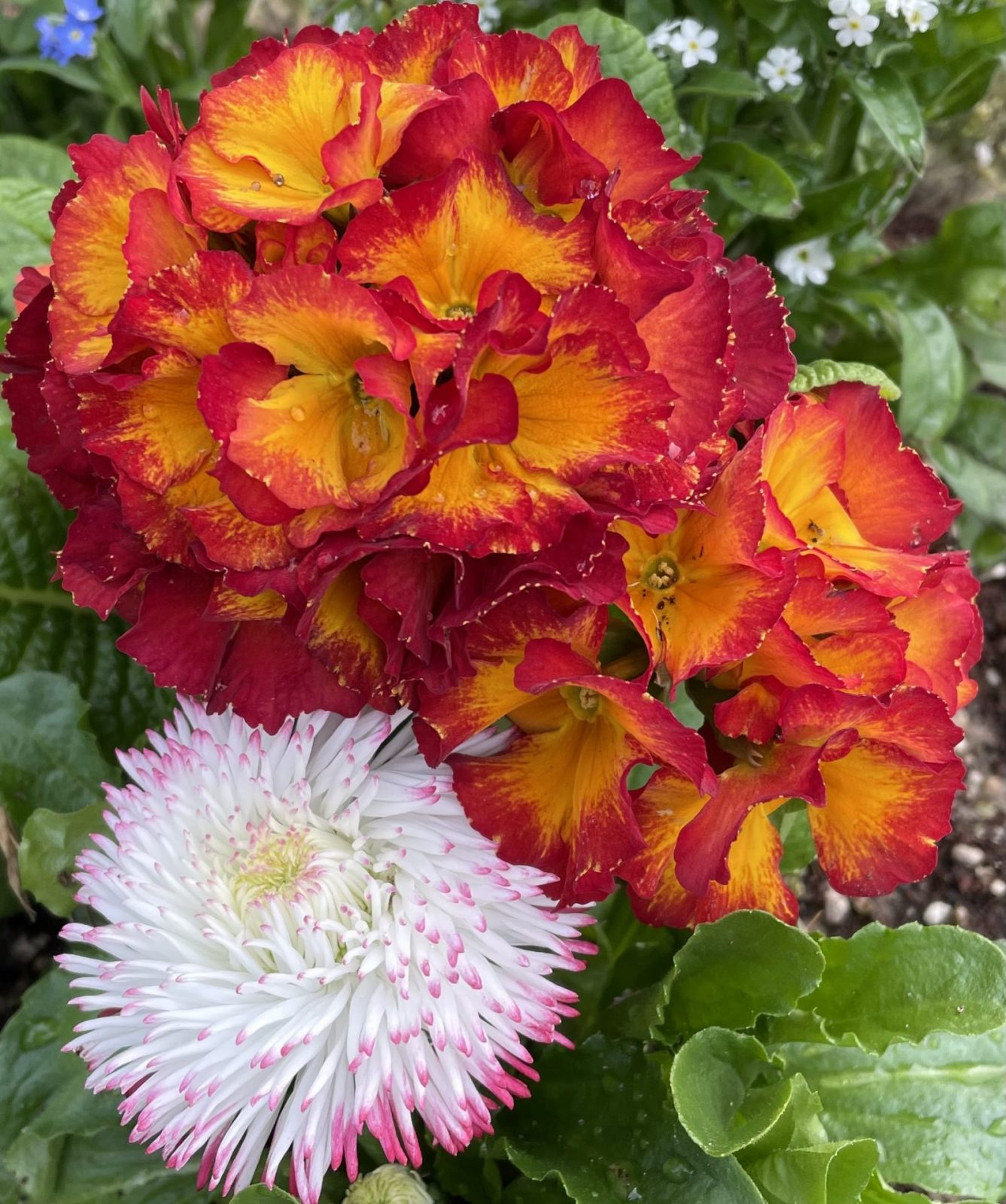 F51AF90E-613E-4A8D-BEBC-699914396618