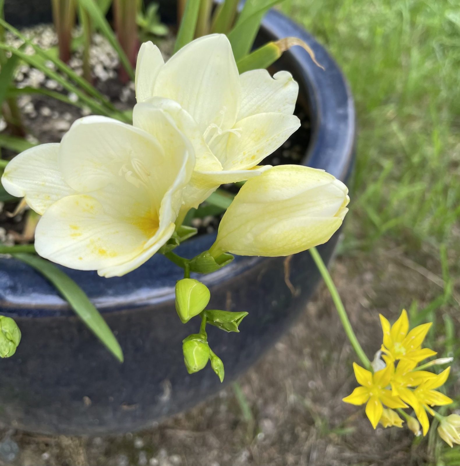 F51C41ED-65B8-45C8-91A5-17E993D1E1C8