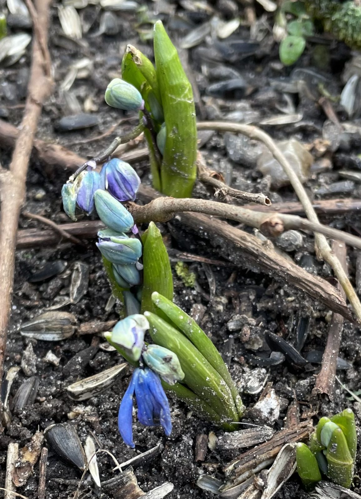 F59EE028-D6B3-4813-B882-7A5B12B7C6C3