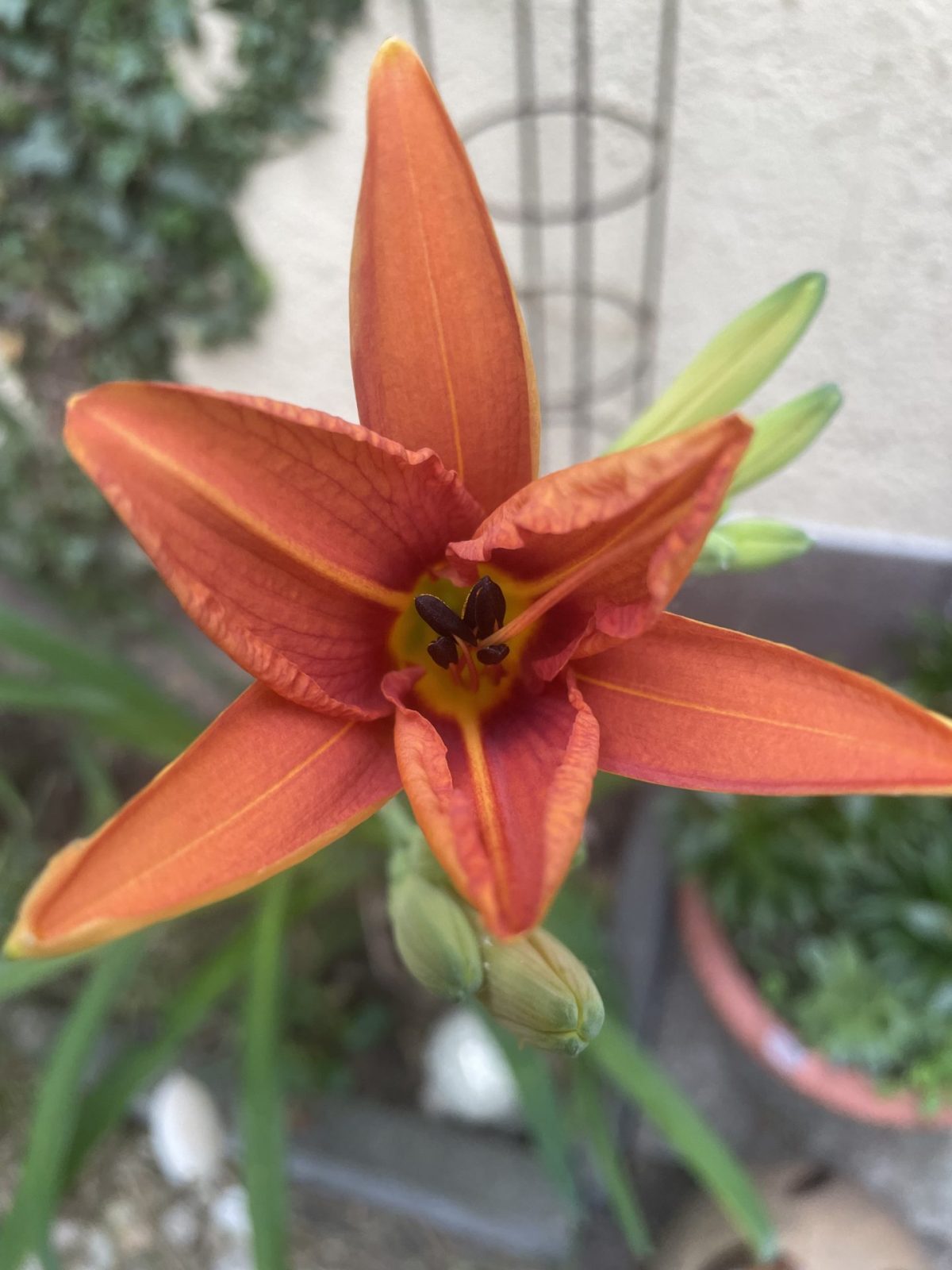 F602BF84-6F0D-405D-BCD3-20B75DD5DCB5