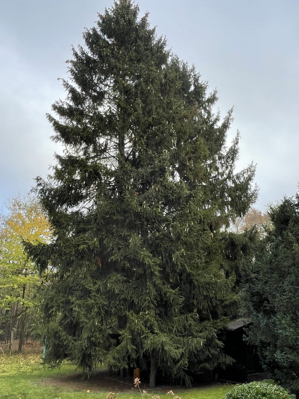 F61E1904-3B44-4D47-AA87-5825ECE0BB55