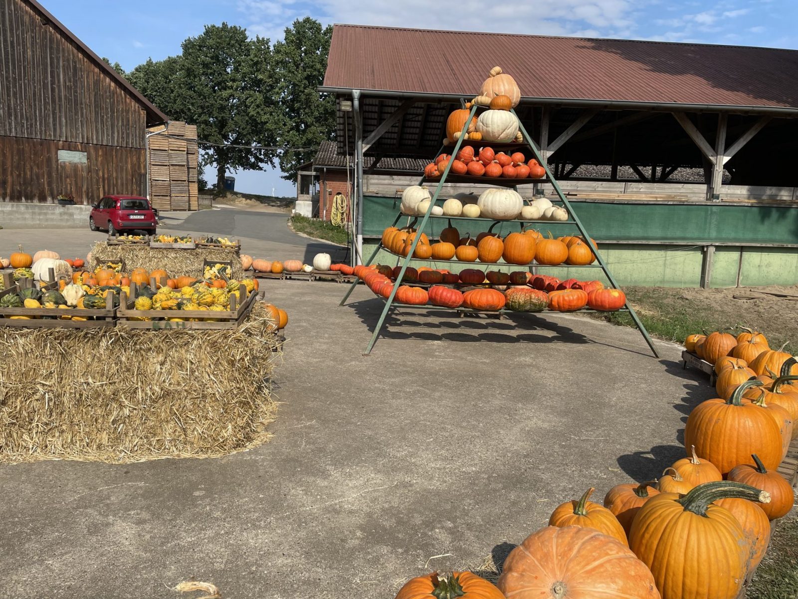 F63F4AF6-5412-4FA1-B2E4-D82509D57C71