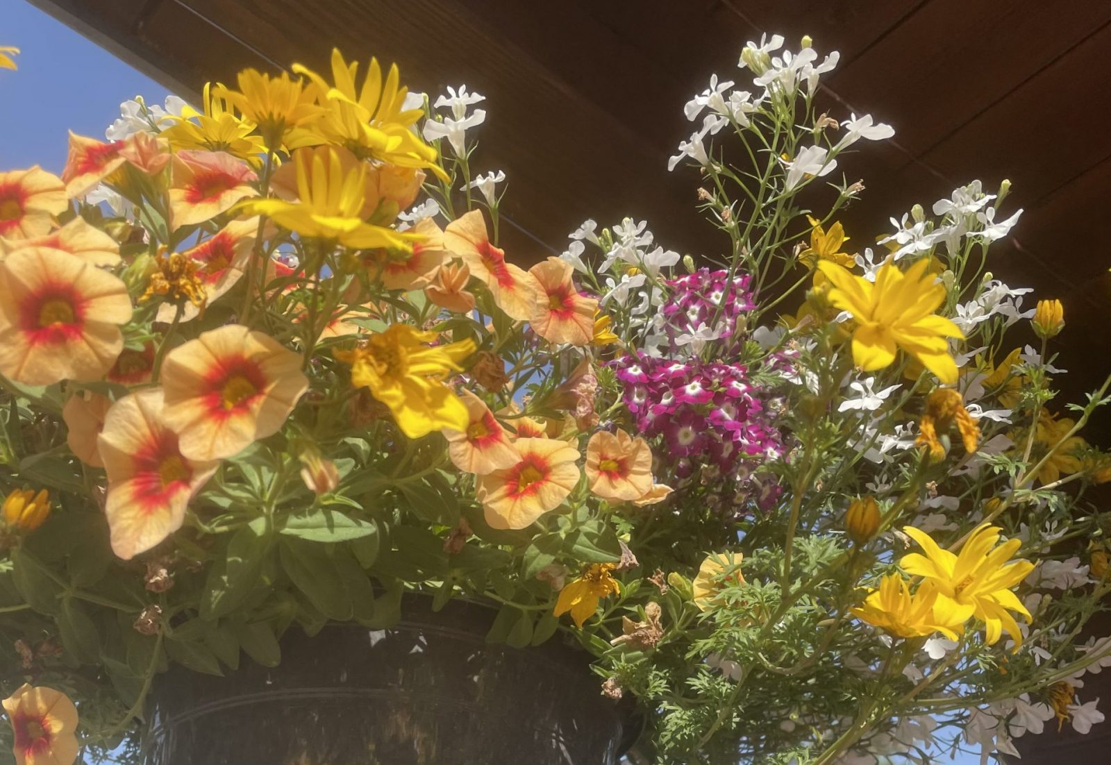 F64ED618-F0AF-45EB-B7B9-FAD094246782