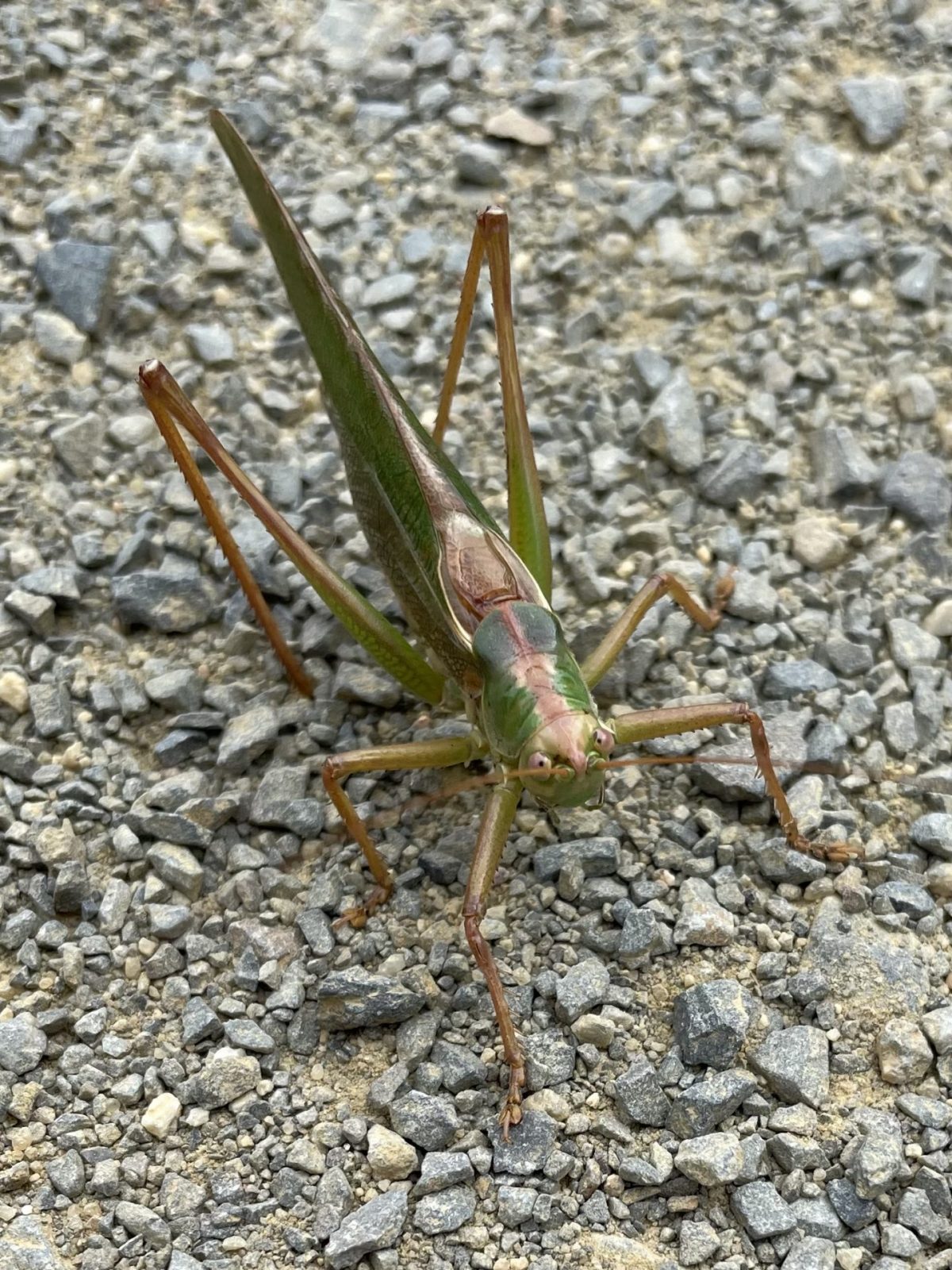 F653AB87-0292-426F-9853-C58B8A765CD3