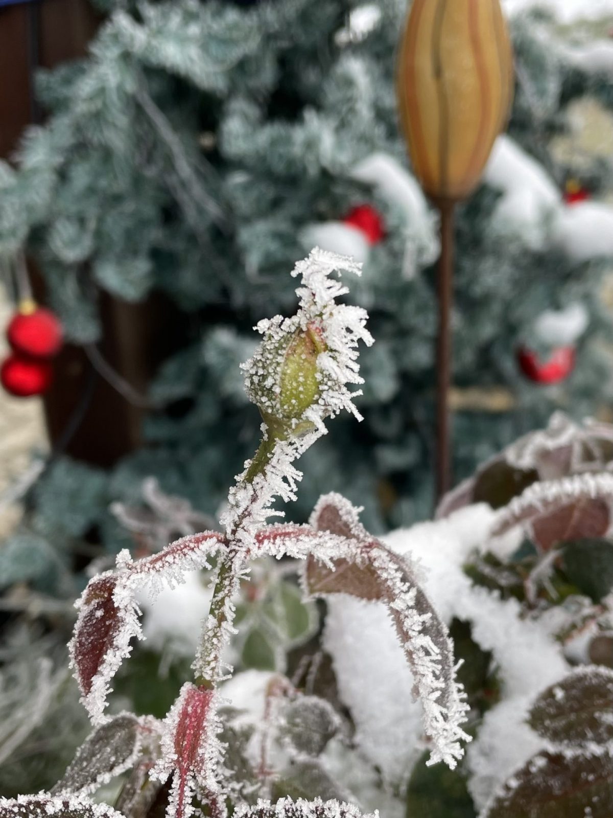 F664170E-8F28-451B-AF20-81C0E54E1260