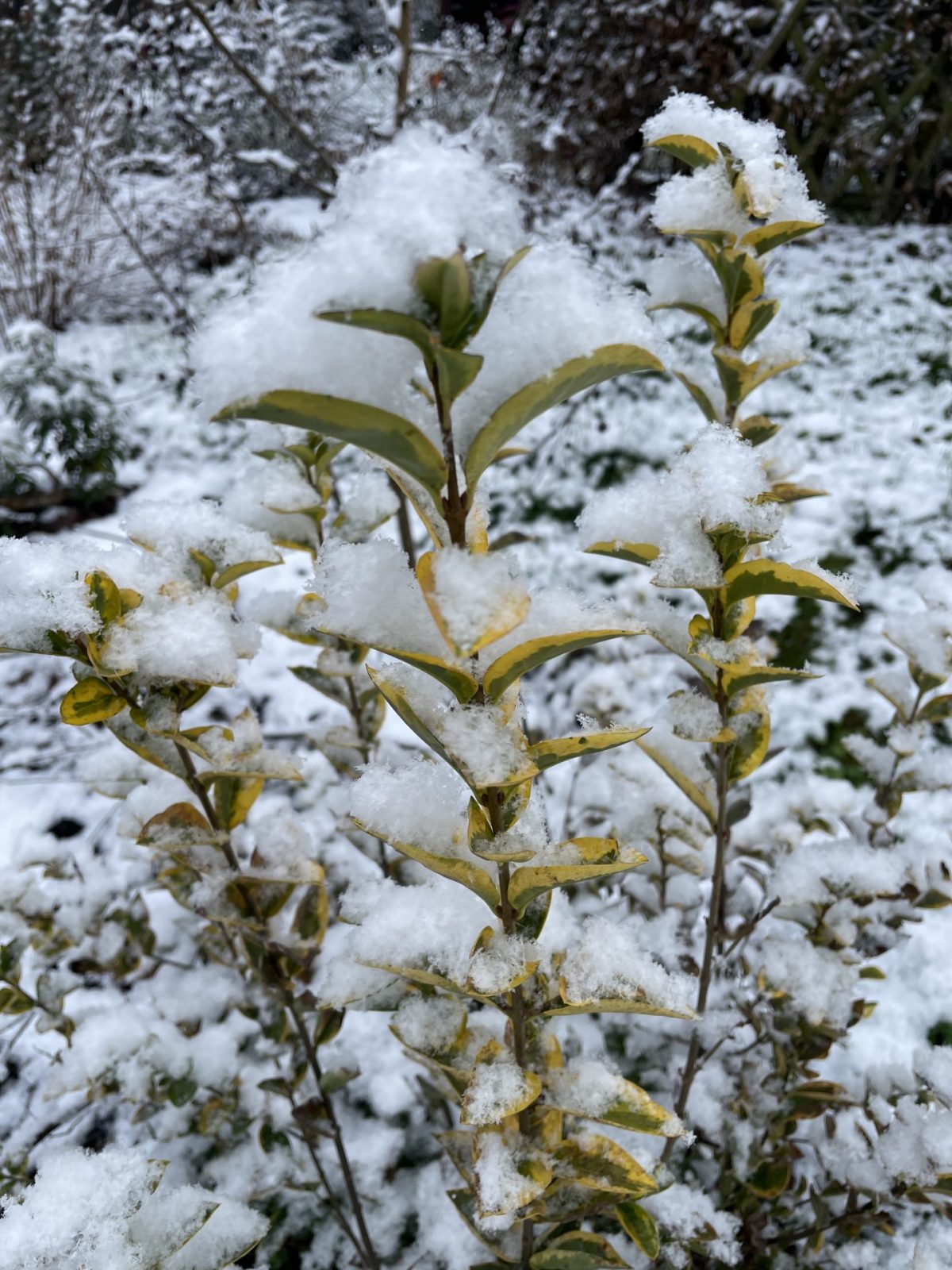 F6A378DC-0364-419A-B14C-BBCE154046D3