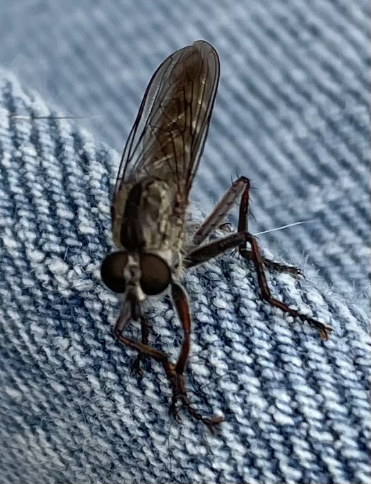 F6ED4FE5-12DF-42BC-9CC1-DEEFAD422E21