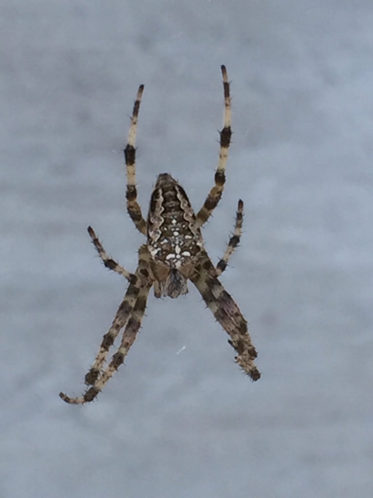 F6FDFCB2-C7BF-494F-BA67-A49AB1D024B3