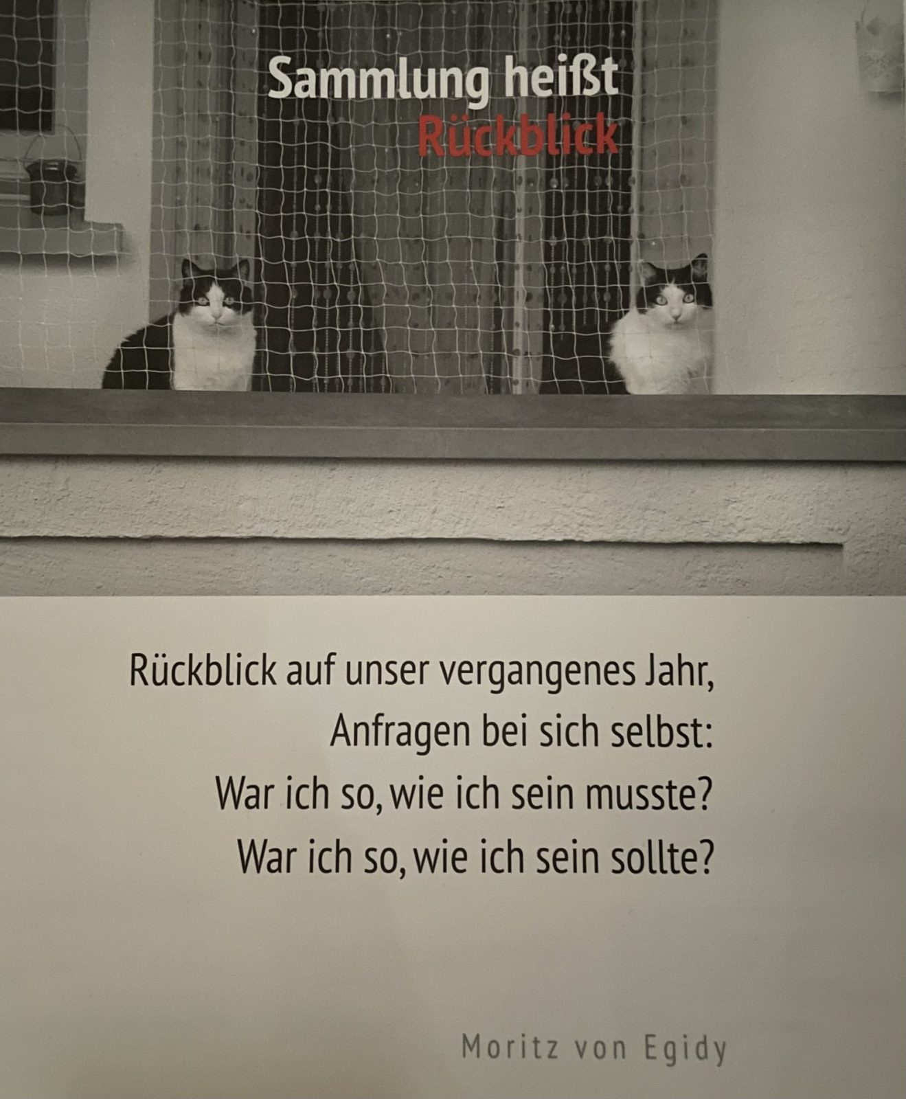 F7105B84-63DF-47D3-B818-F206F4856C04